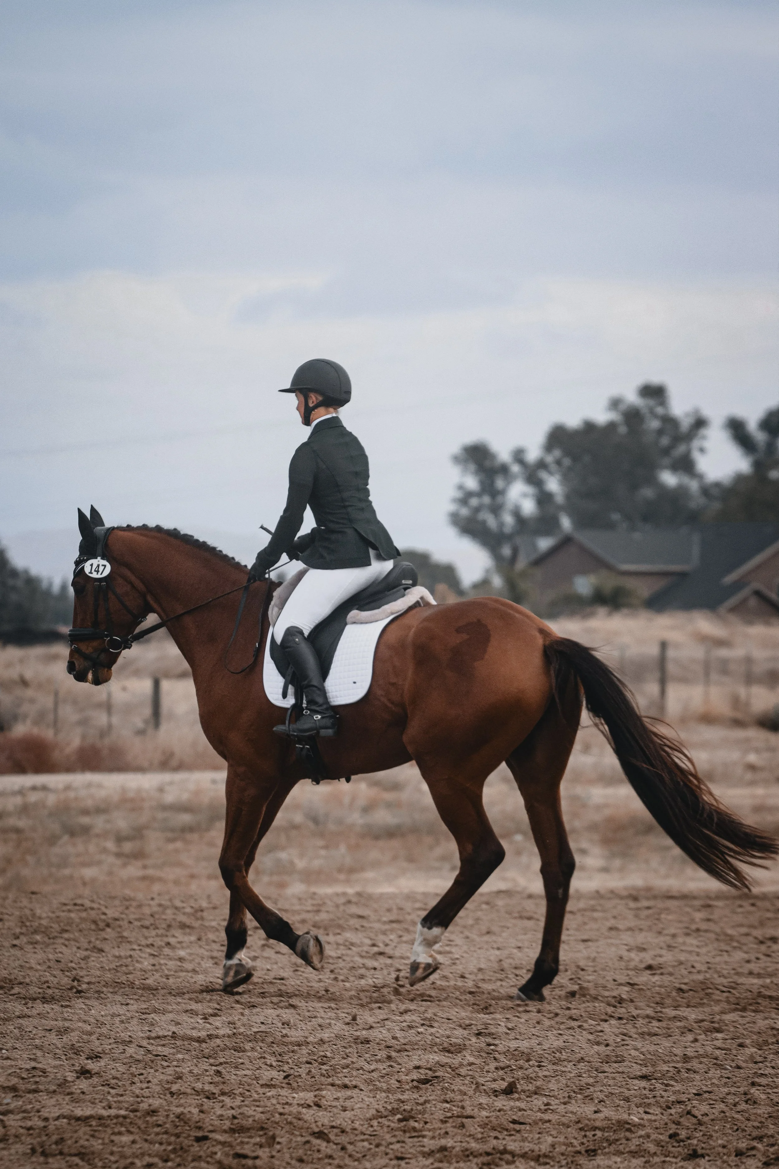 A person dressed in horse riding attire riding a brown horse on an outdoor arena, with trees and buildings in the background during a cloudy day.