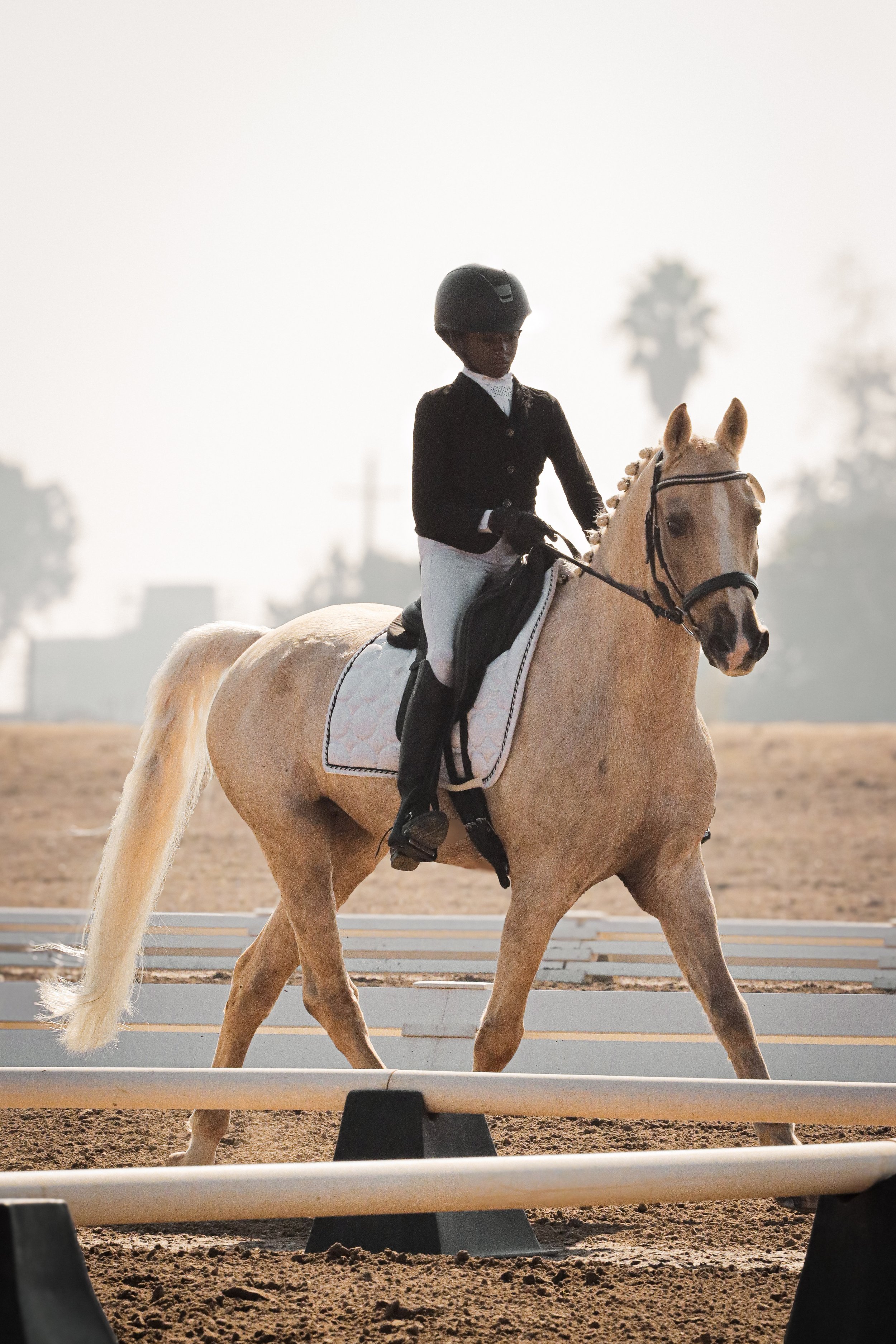 A person riding a light-colored horse during a daytime equestrian event, with a sandy arena and trees in the background.