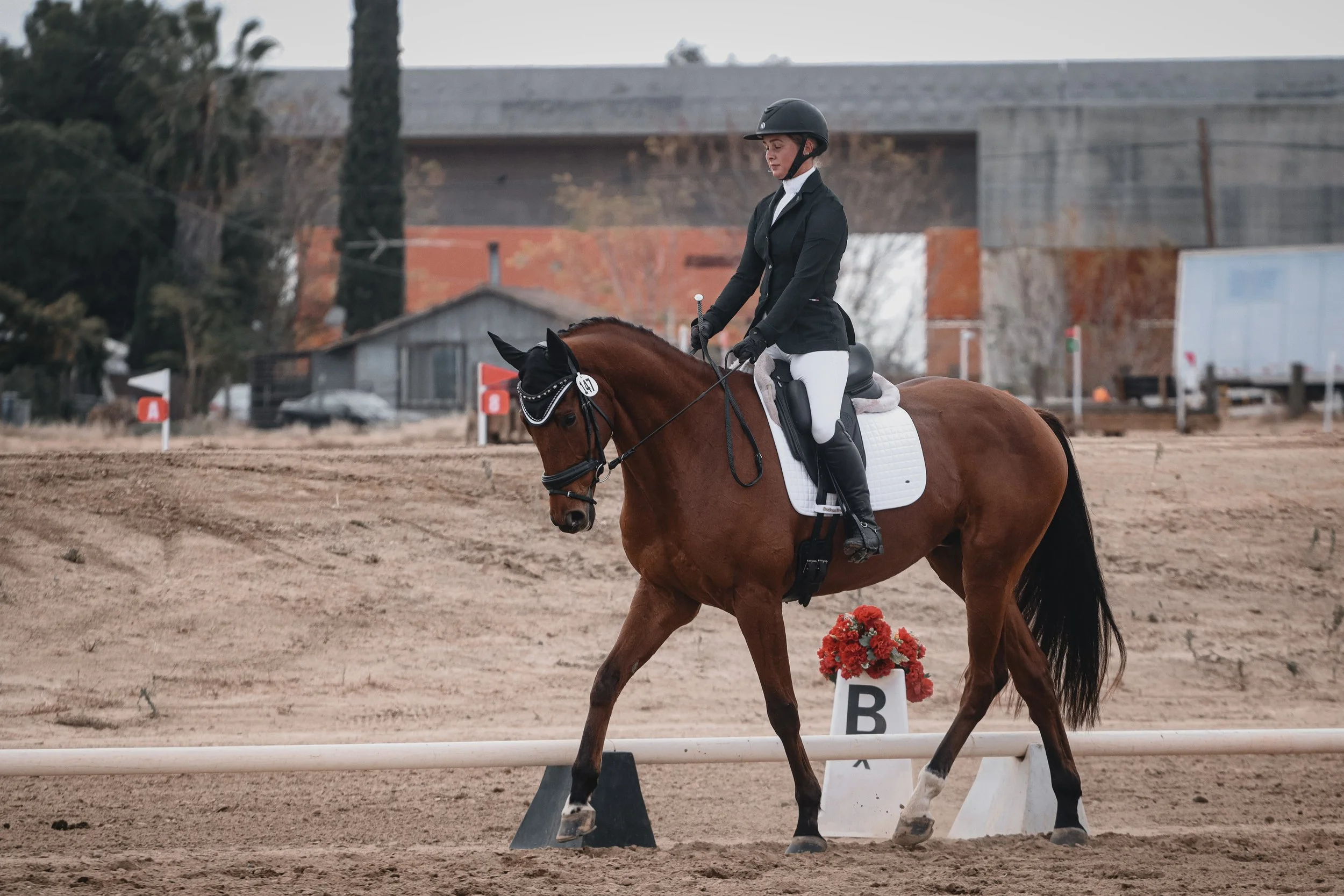 A rider in formal riding attire on a chestnut horse during an equestrian event on a sandy outdoor arena, with markers and decorations around.