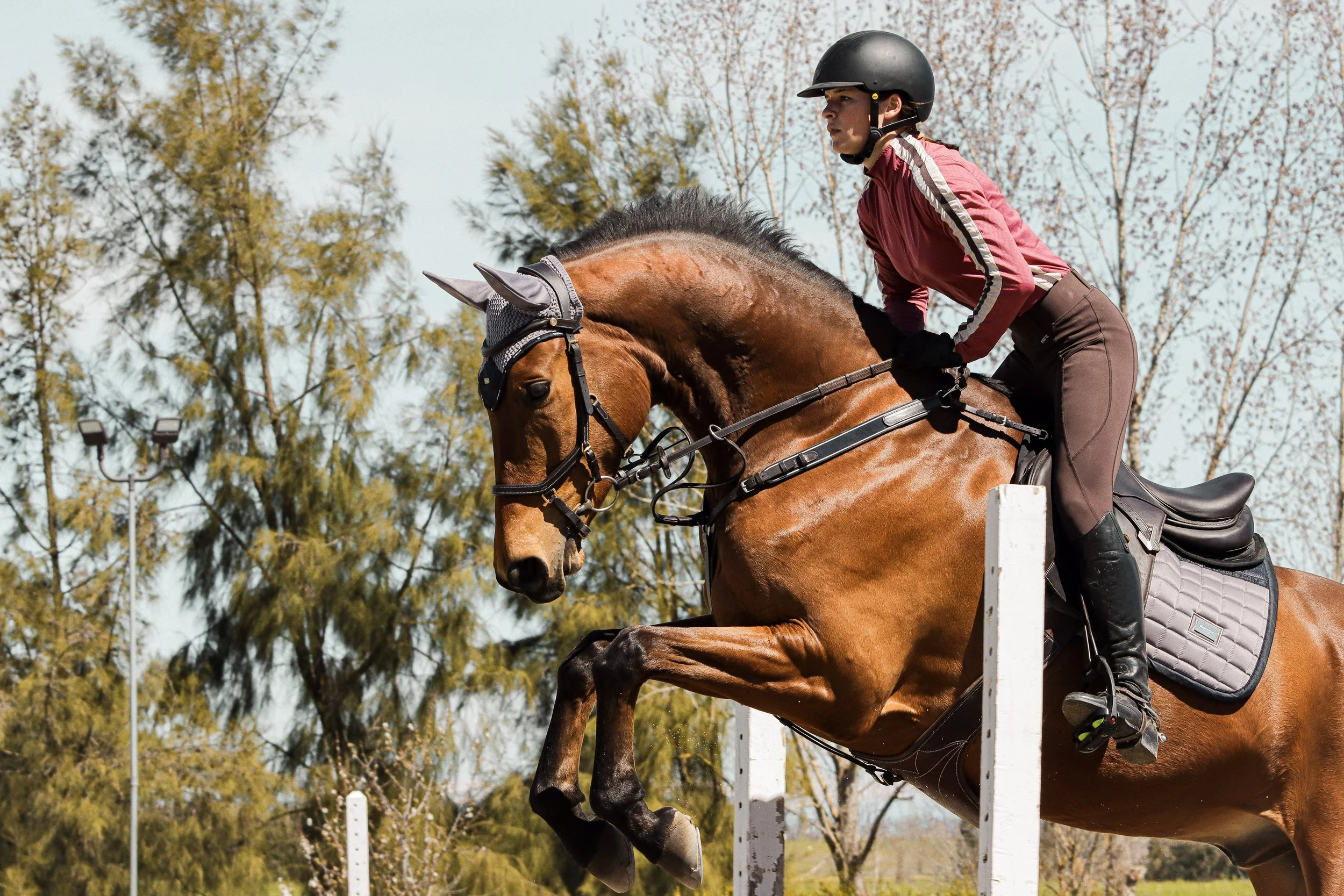 A person riding a chestnut horse while jumping over an obstacle during an equestrian event.