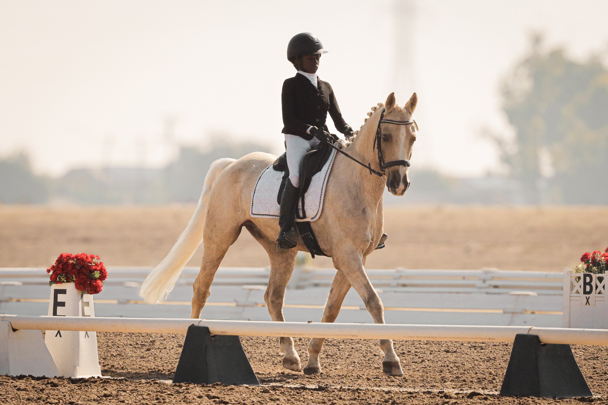 A rider wearing a black helmet and formal riding attire on a palomino horse with a braided mane, participating in a dressage competition.