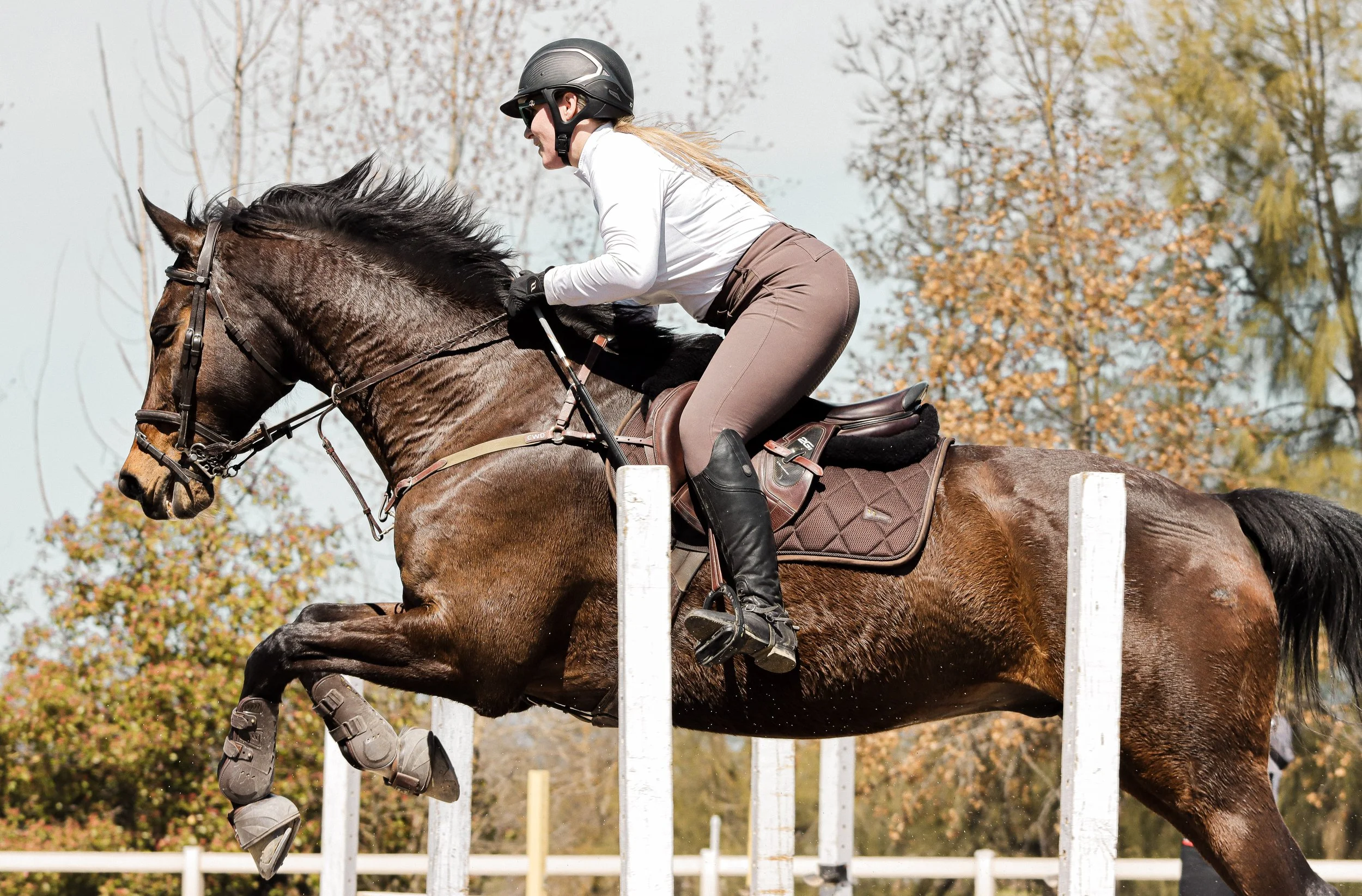 A woman wearing riding gear, including a helmet, gloves, and boots, riding a brown horse over a jump during an equestrian event outdoors with autumn trees in the background.
