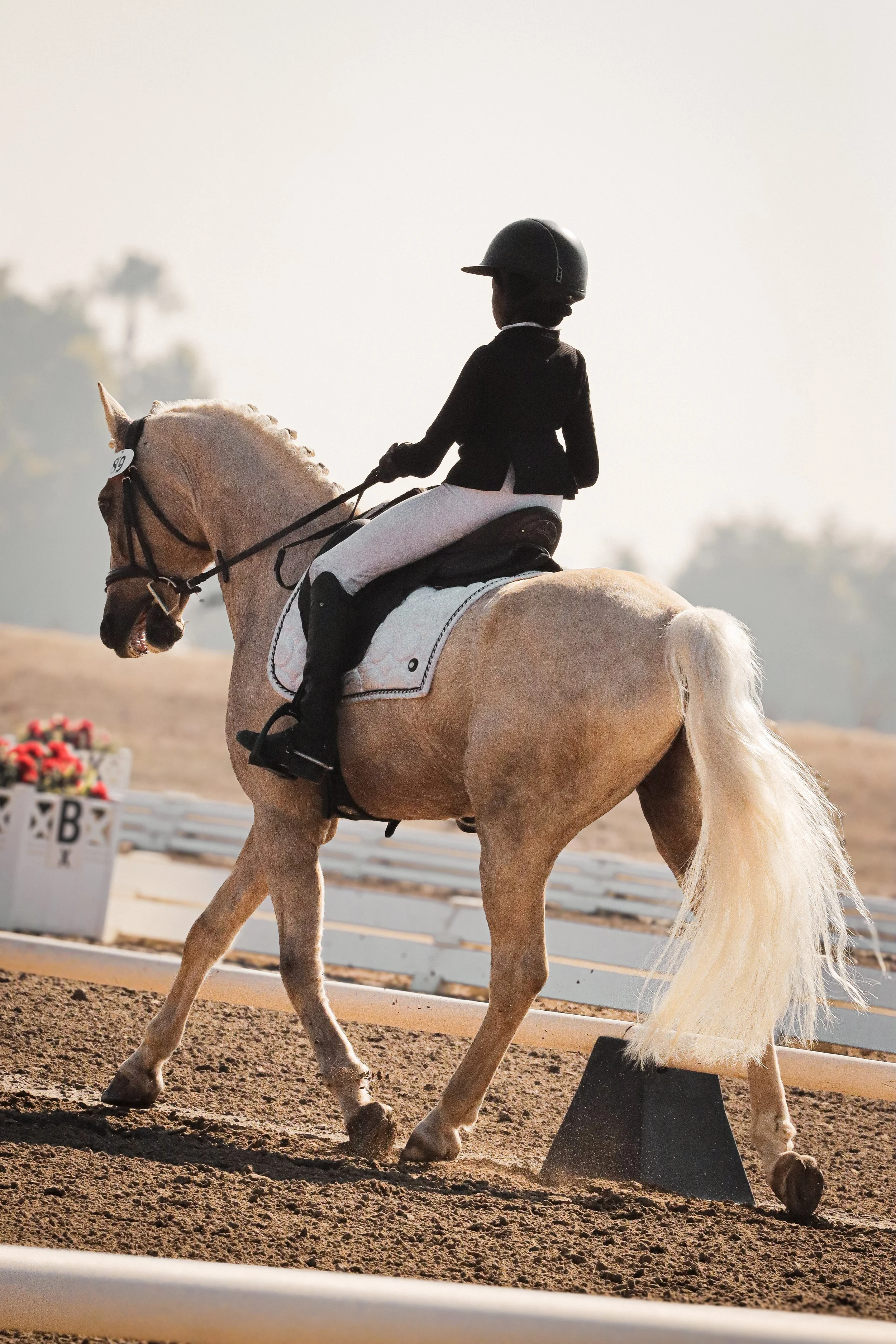 A rider in formal equestrian attire, including a helmet and show jacket, riding a light-colored horse in a dressage arena, with decorative flowers in the background.