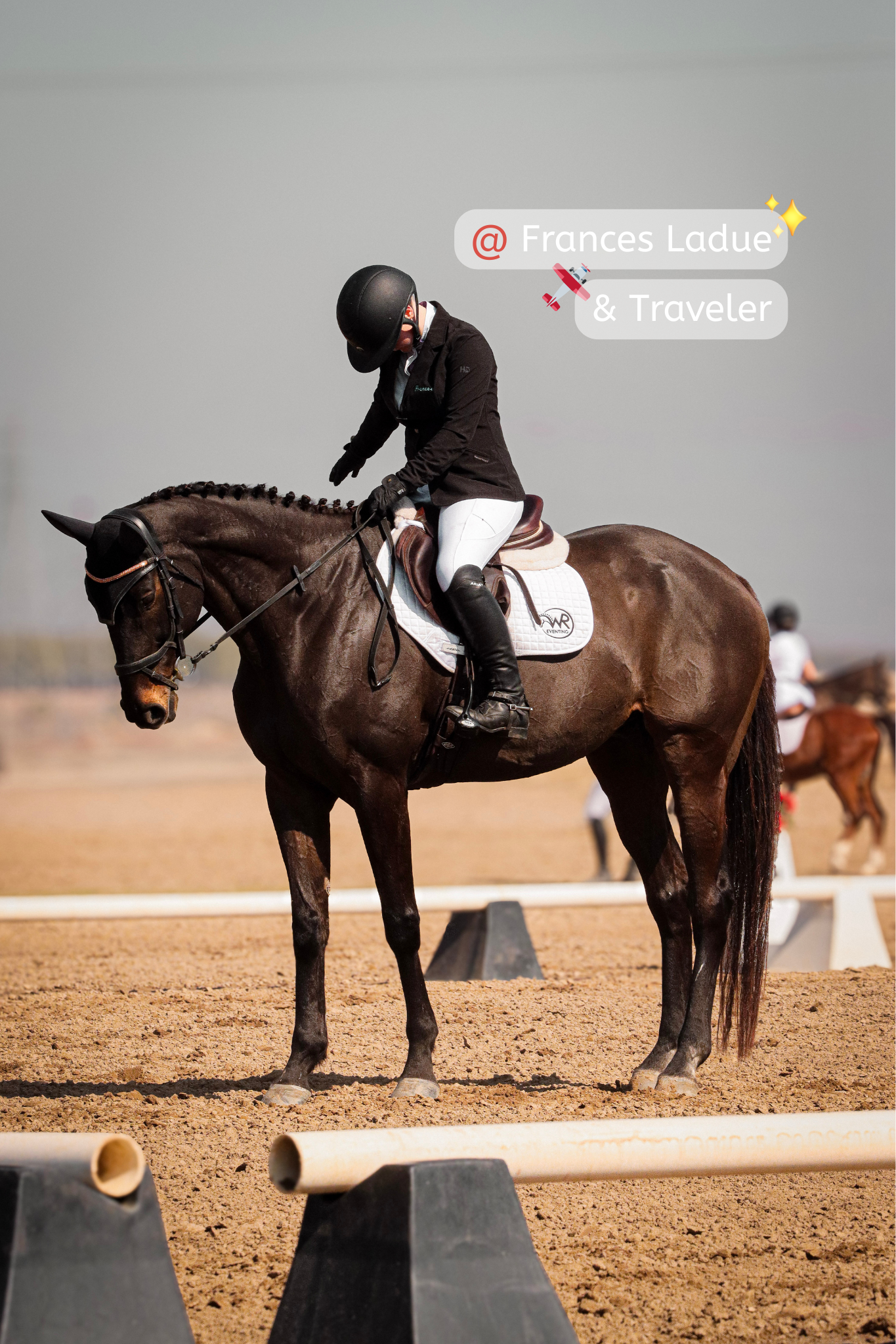 A rider in equestrian gear on a brown horse in an indoor riding arena with a sandy surface and a gray sky backdrop, with other riders and horses in the background.