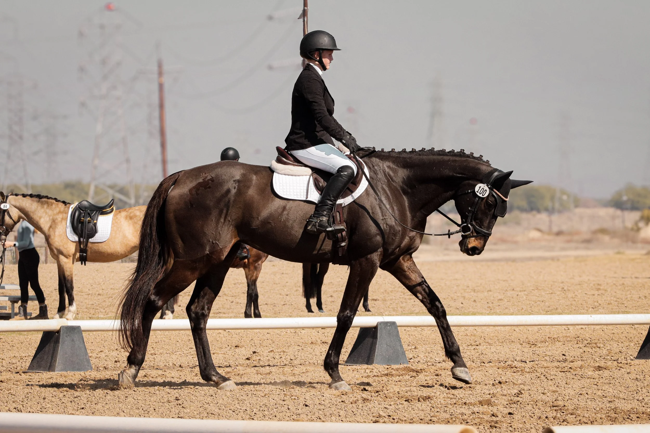 A woman riding a brown horse in an outdoor equestrian arena, wearing a black helmet, black jacket, white breeches, and riding boots, with other horses in the background and a sandy riding surface.