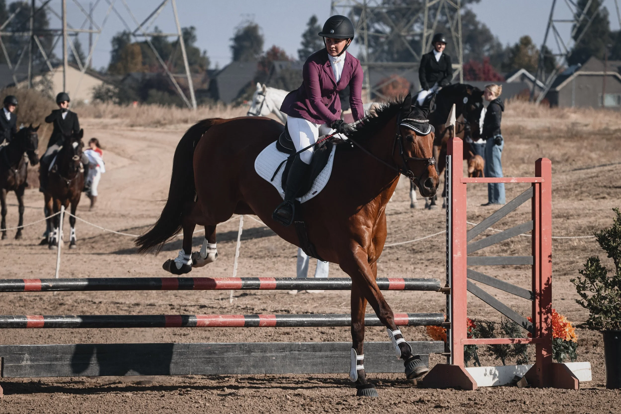 A woman in a purple blazer riding a brown horse over a jump during an equestrian event, with other riders and spectators in the background under a clear sky.