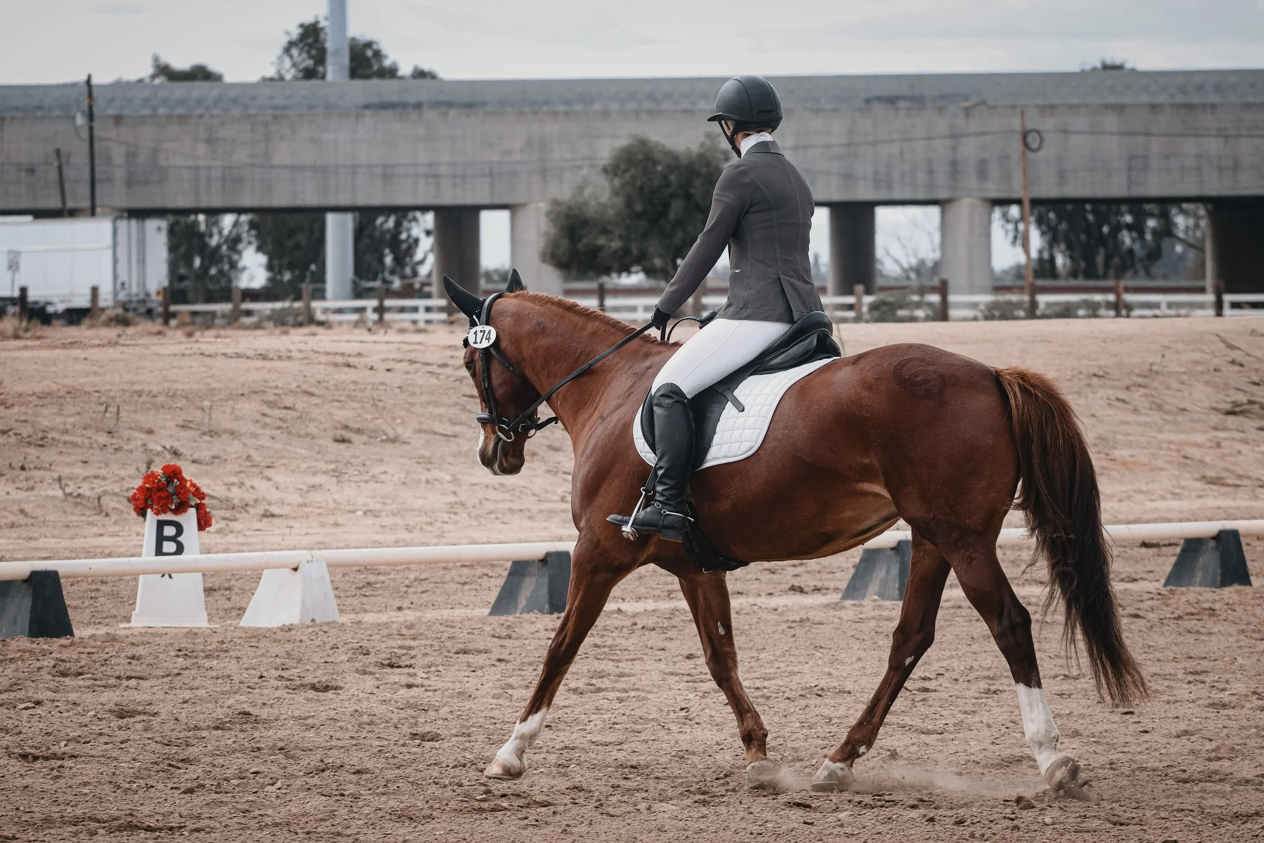 A person dressed in equestrian attire riding a brown horse in a dressage arena, with markers and an overpass bridge in the background.