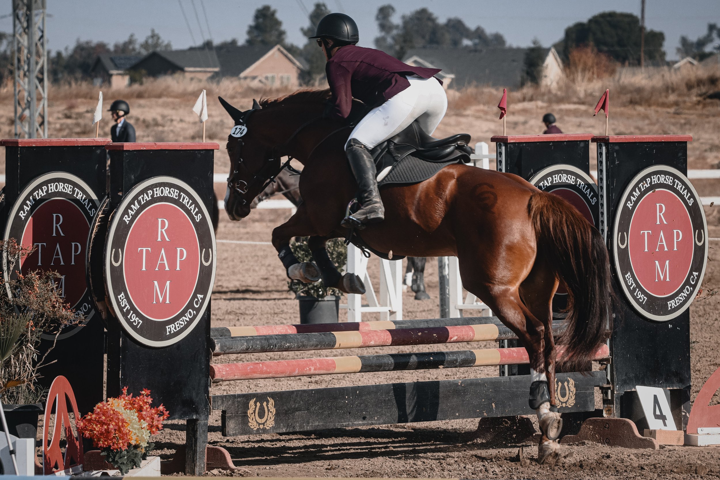 A rider on a brown horse jumping over an obstacle during a horse jumping event at Ram Tap Horse Trials. The rider is wearing a helmet, maroon jacket, and white riding pants. The obstacle has black and red sides with the Ram Tap logo.