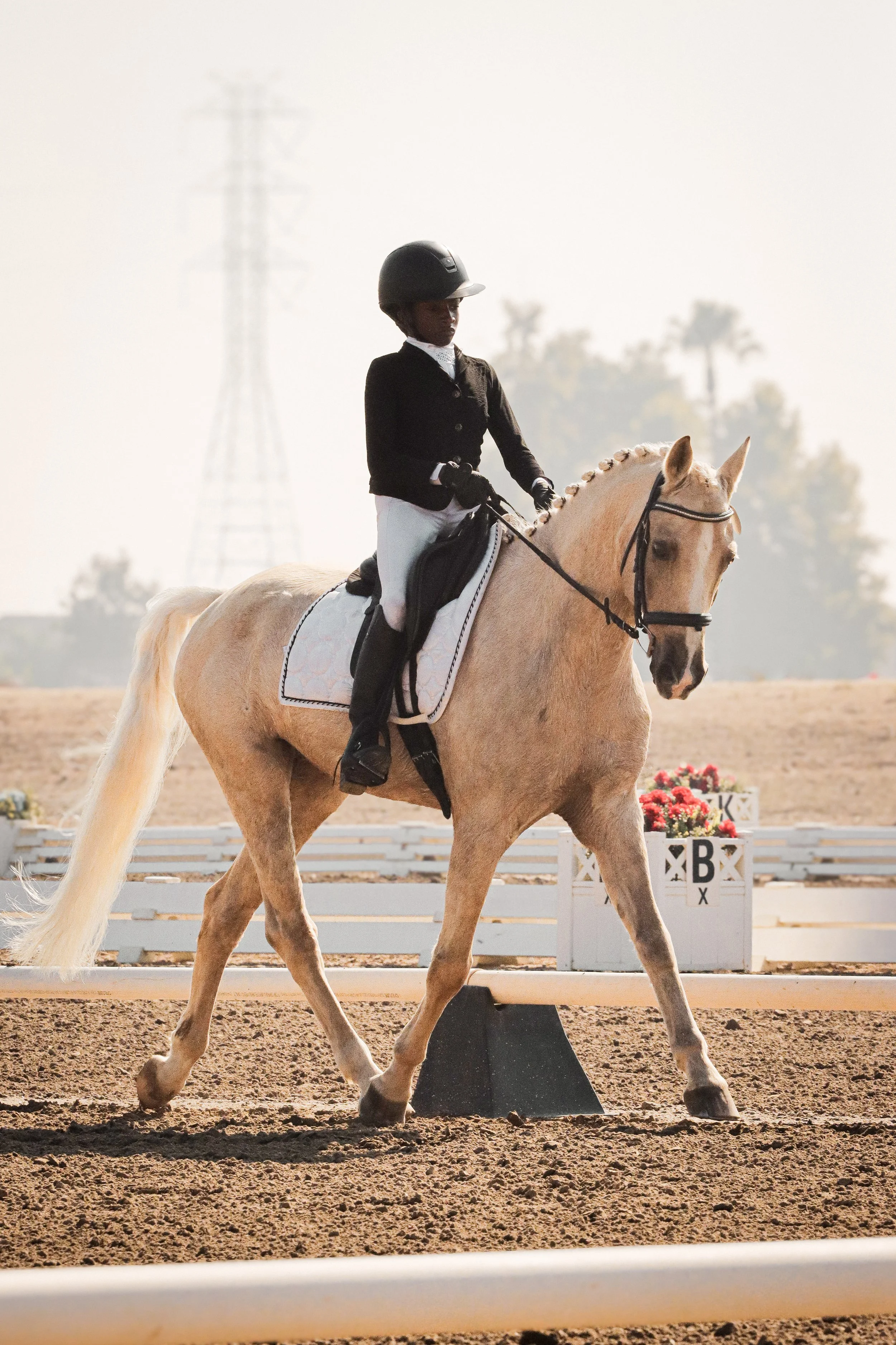 (1 of 2) Maya Burke & Johnny @ November Ram Tap Horse Trials 2025