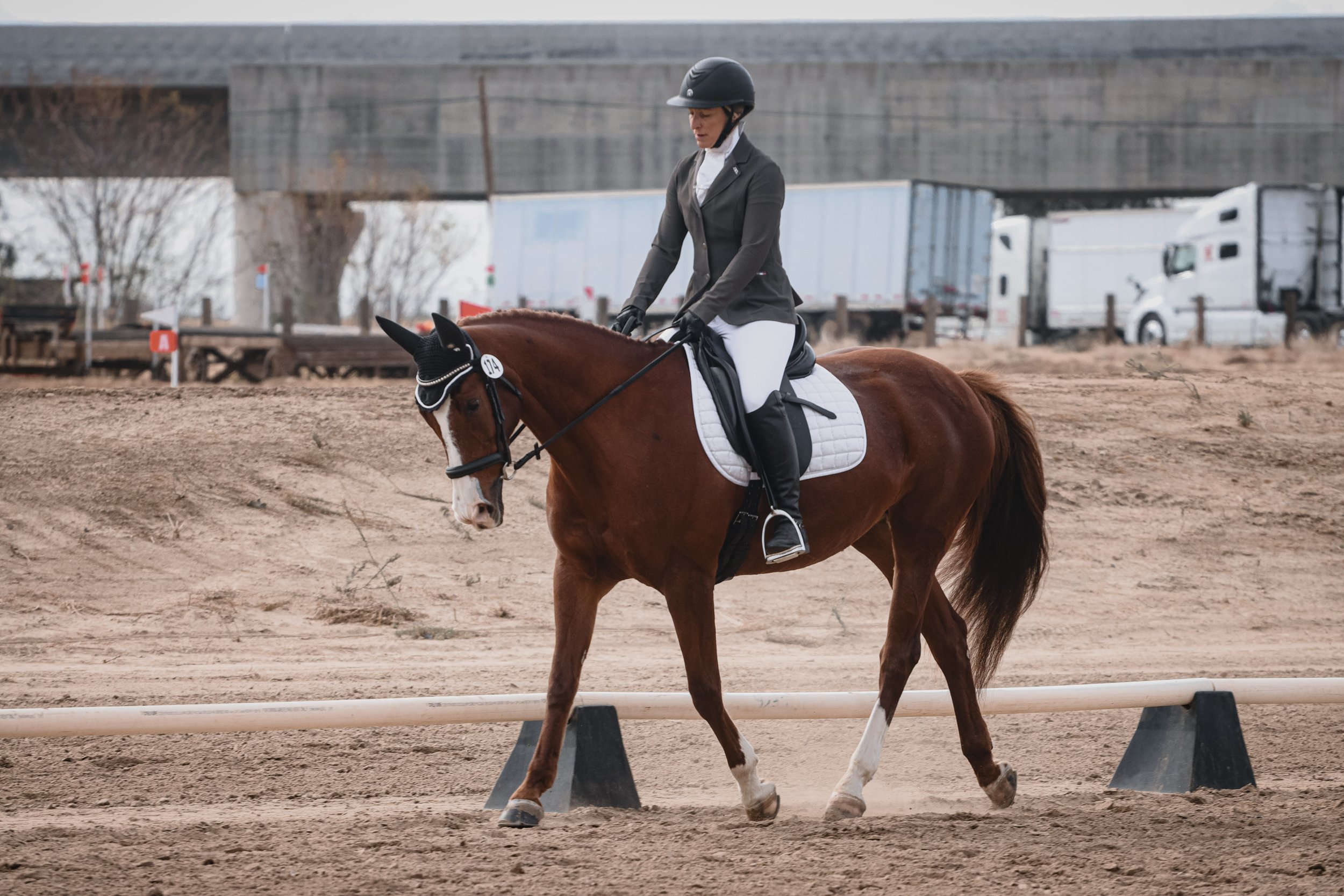 A woman riding a brown horse in an outdoor riding arena during daytime, wearing a riding helmet and formal riding attire, with trailers visible in the background.