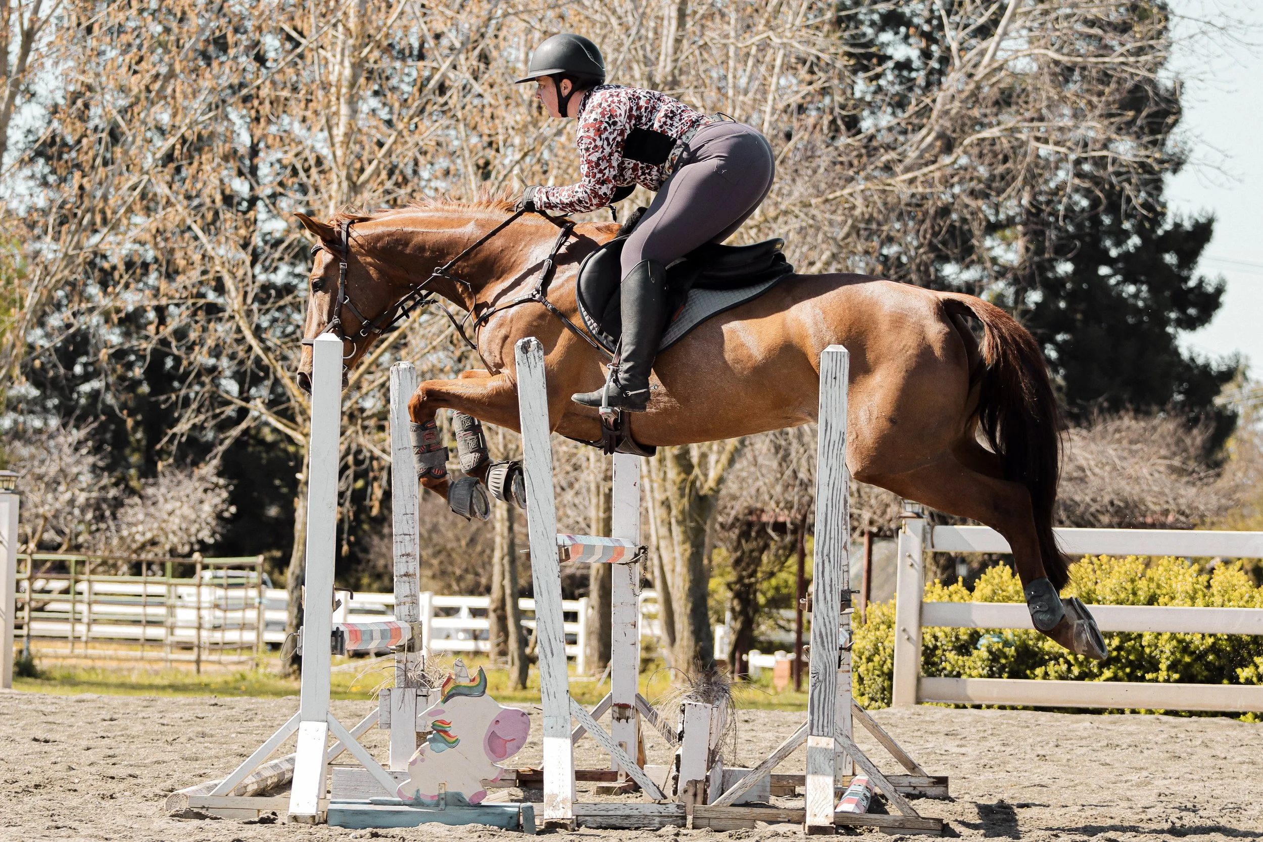 A person riding a horse jumps over a colorful obstacle in an outdoor arena. The rider wears a black helmet, patterned jacket, and riding boots. The background includes trees and a wooden fence.
