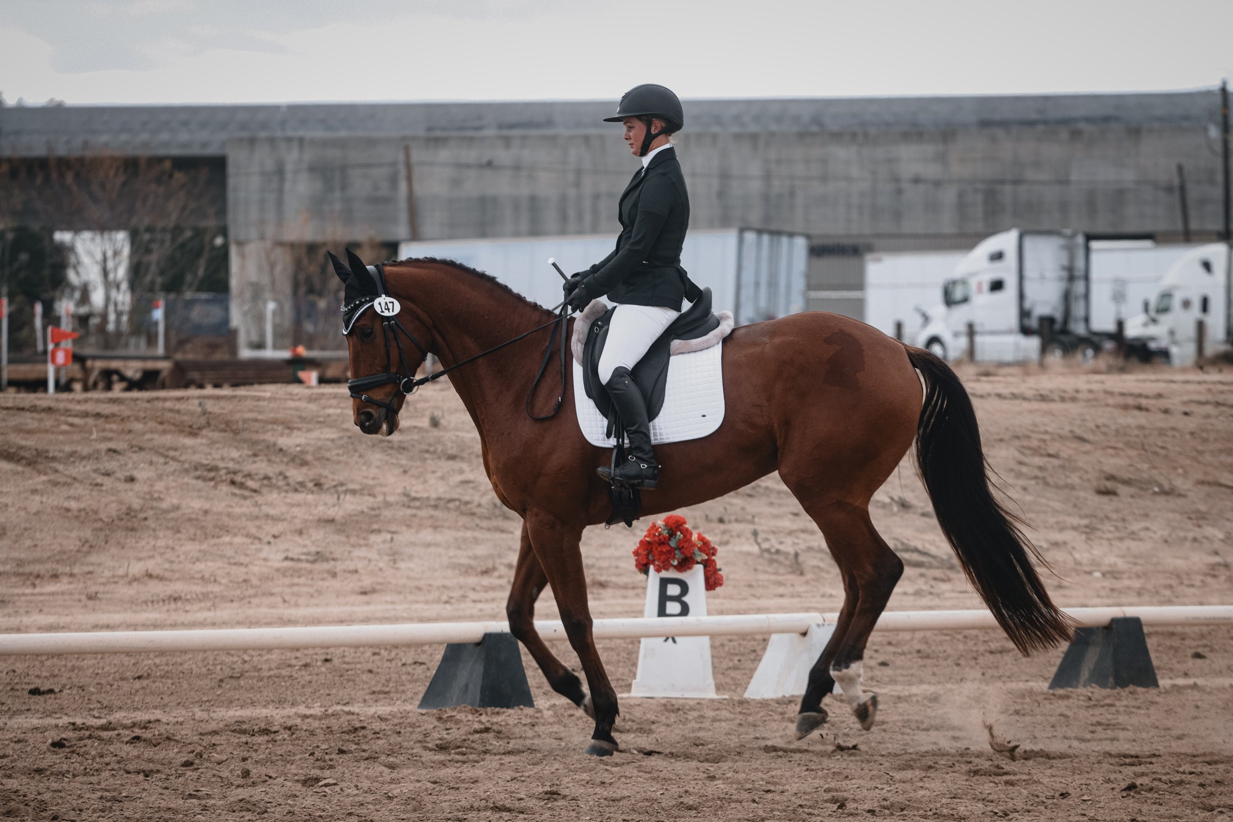 A female equestrian dressed in formal riding attire, including a black helmet, black jacket, and white riding pants, riding a brown horse with a white saddle pad, on a dirt riding arena with a fence, barriers, and sports equipment in the background.