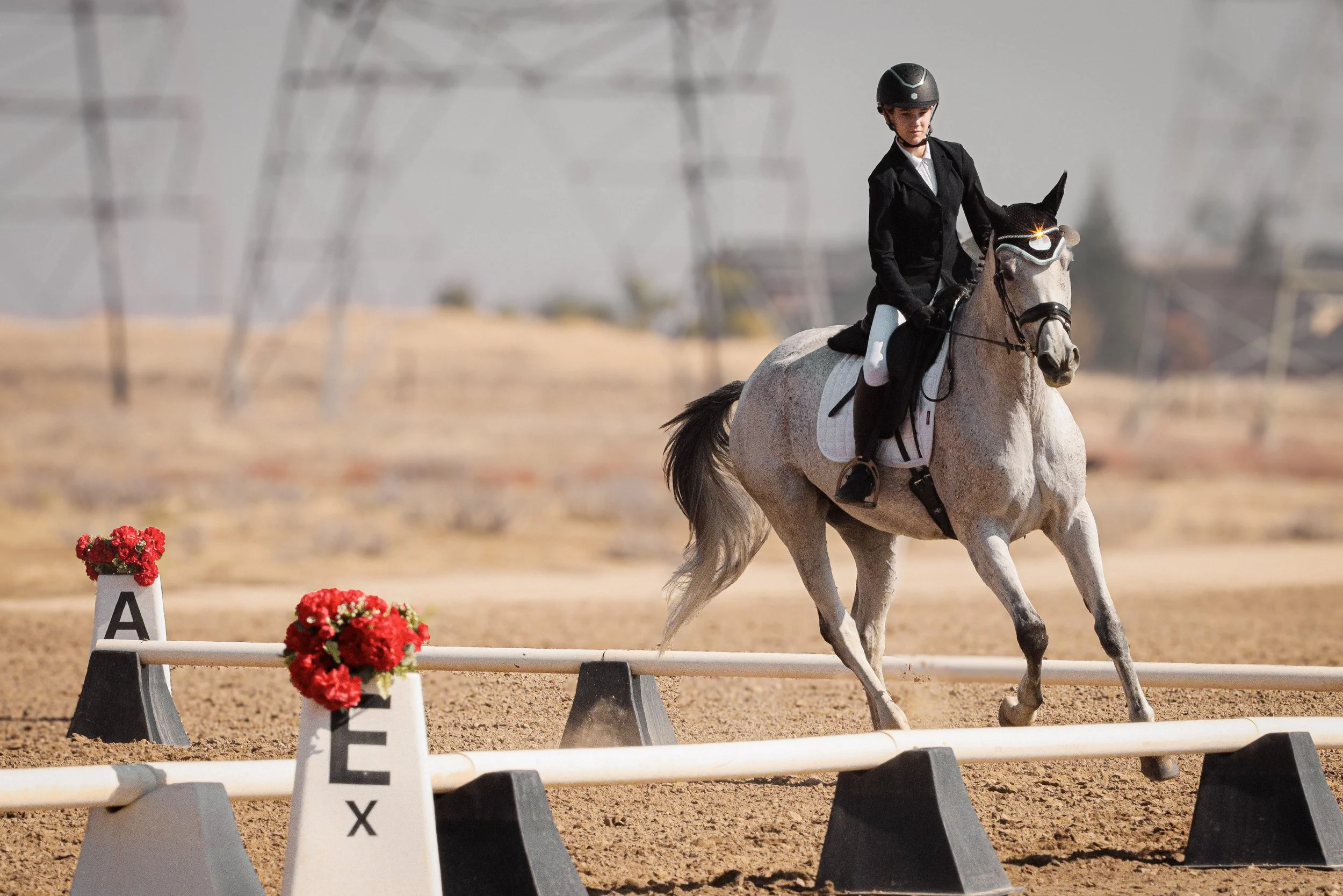 A young girl riding a white horse during an equestrian show, she is wearing a black helmet and a black riding jacket, with a focused expression on her face as she navigates the horse around a competition course marked with white and black cone-shaped