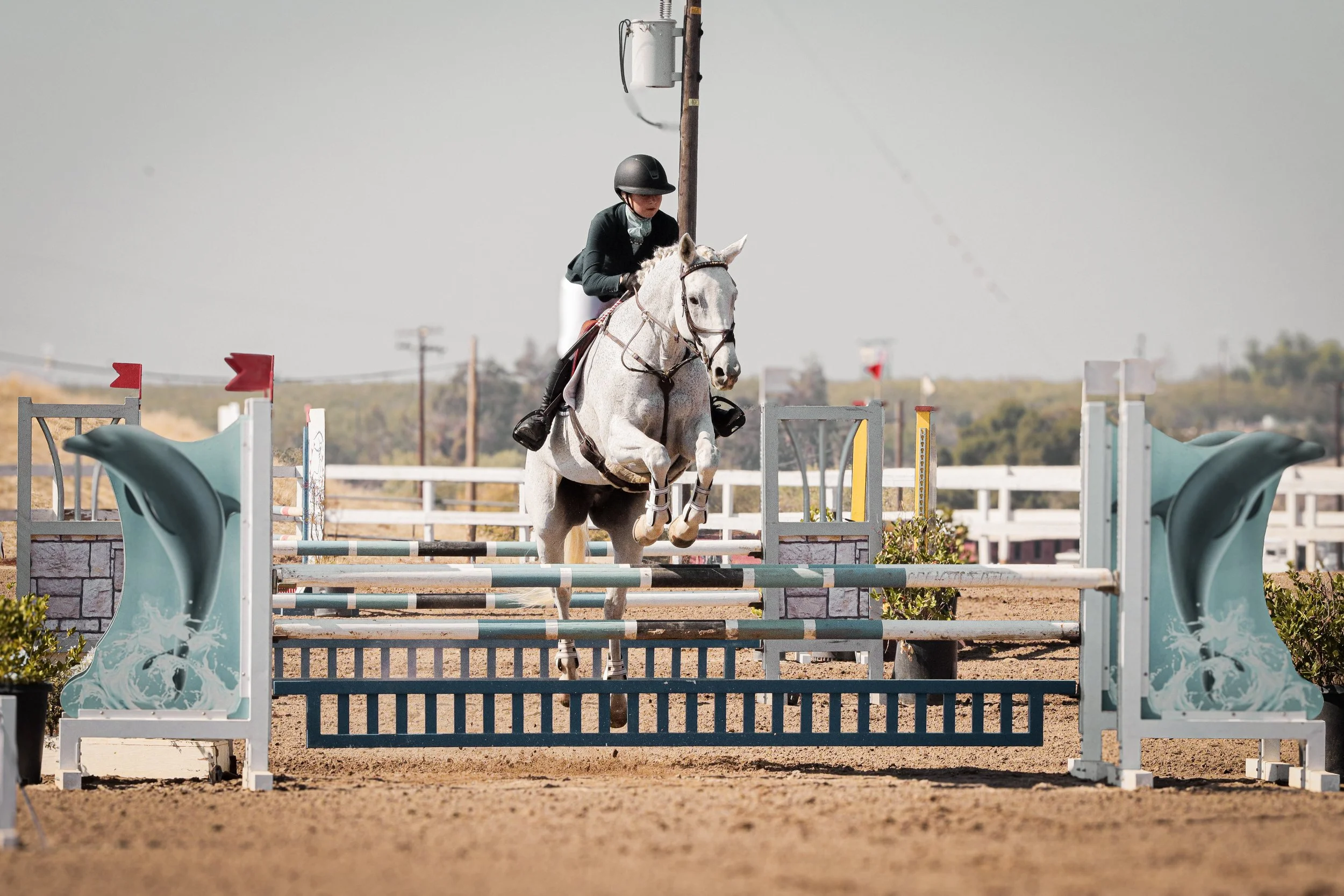 A person riding a white horse in a jumping competition in an outdoor equestrian arena. The rider is wearing a black helmet and black riding attire.
