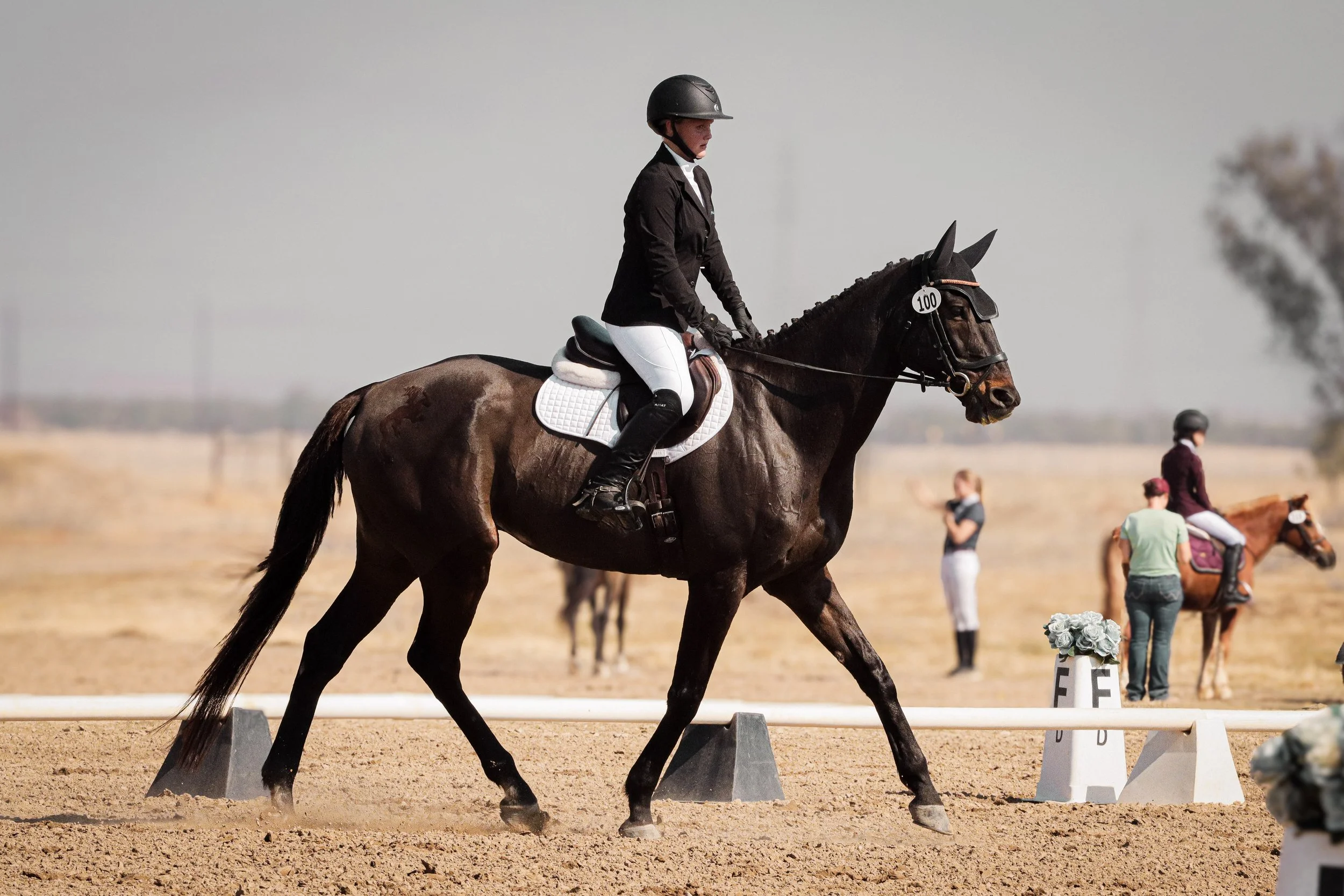 A person riding a dark brown horse during an equestrian event in an outdoor arena with spectators in the background. The rider wears a helmet, black jacket, white breeches, and black riding boots.