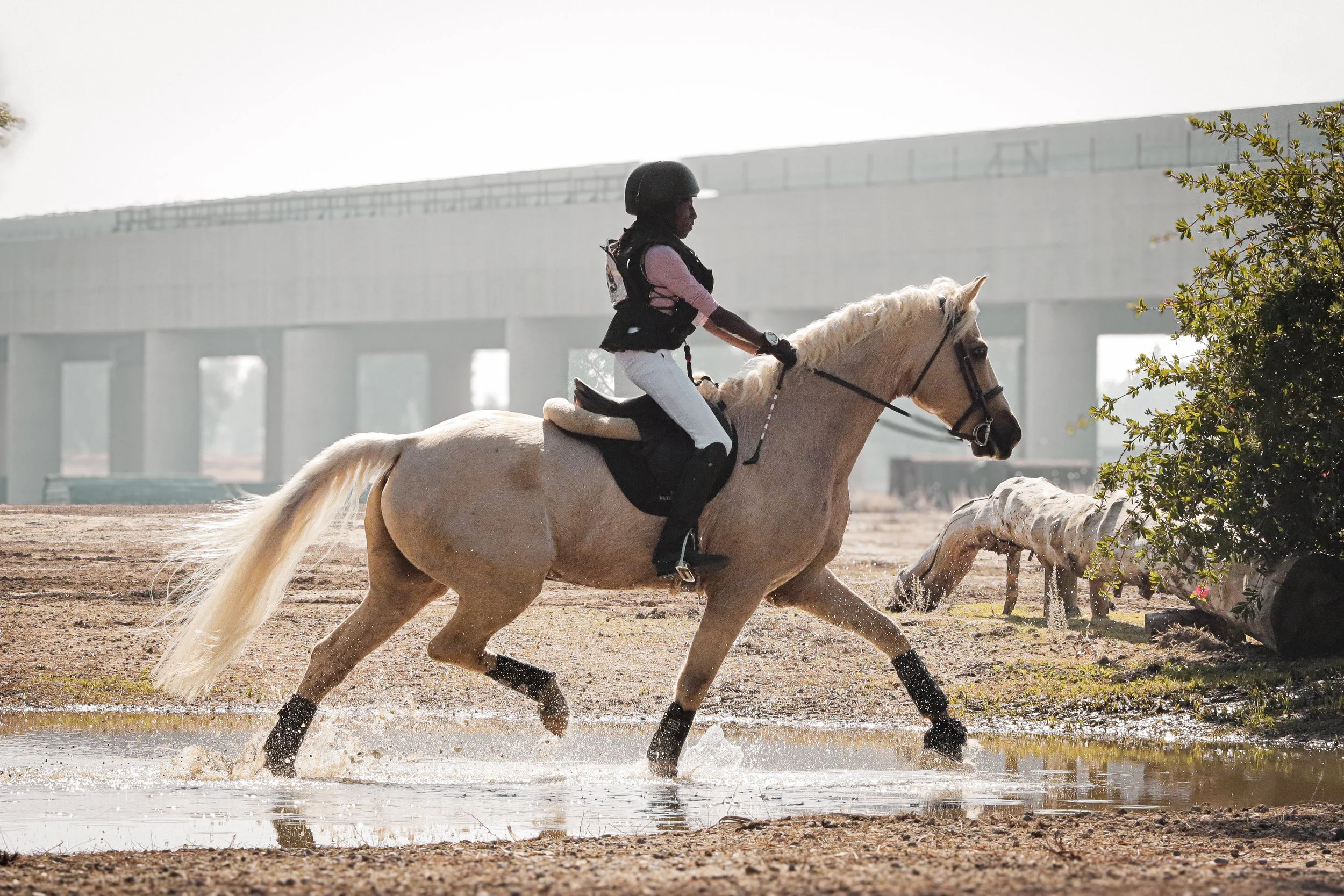 (2 of 2) Maya Burke & Johnny @ November Ram Tap Horse Trials 2025