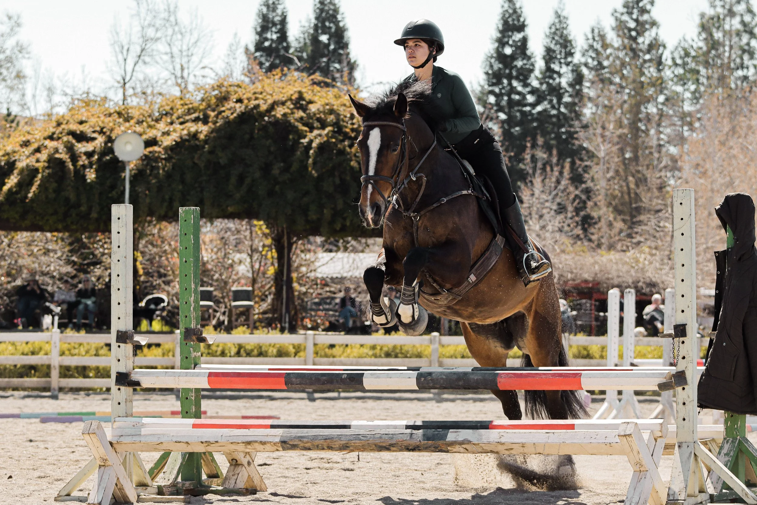 A female equestrian rider wearing a helmet and dark riding outfit jumping a brown horse over a show jumping obstacle outdoors, with autumn trees in the background.