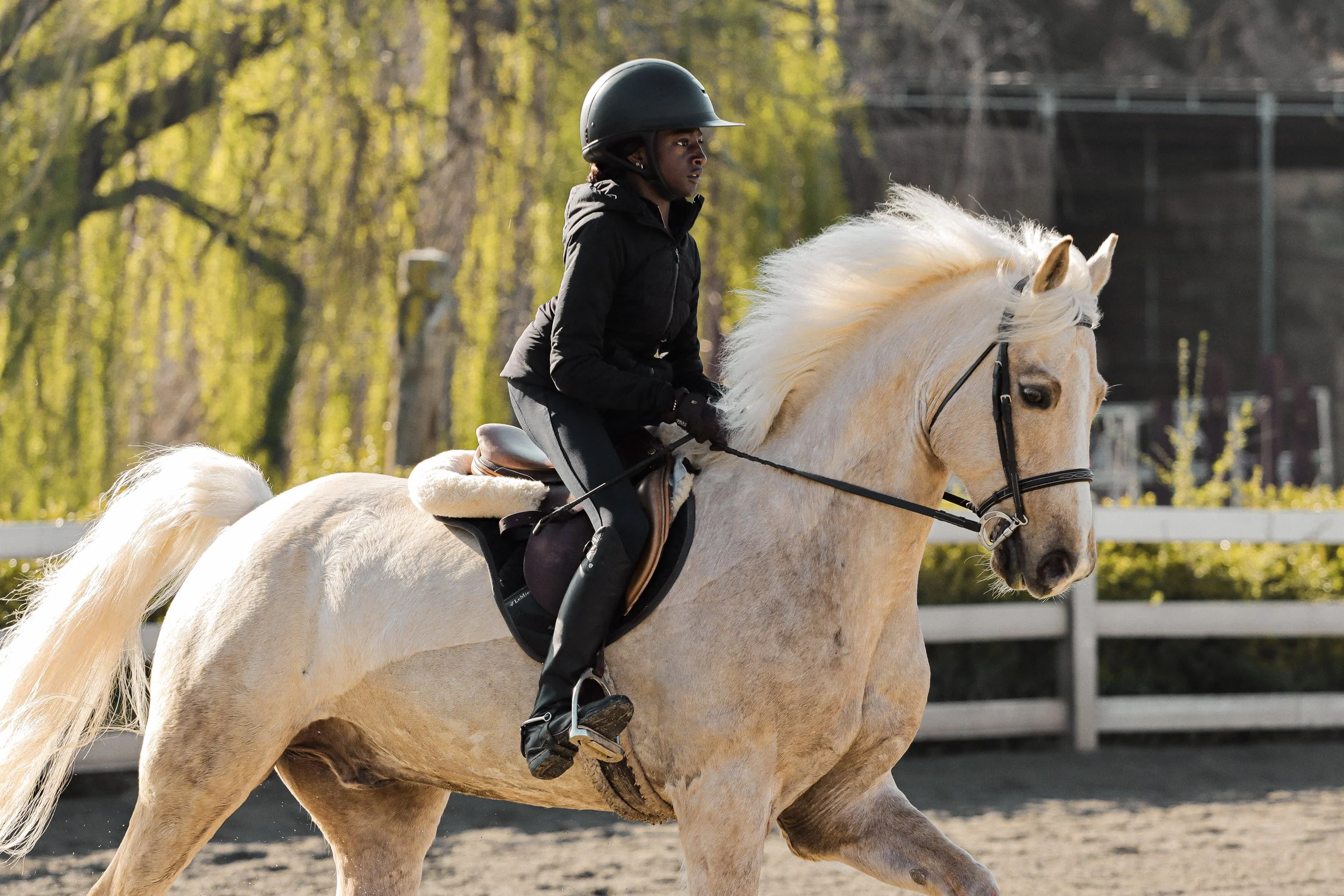 A woman riding a white horse in an outdoor riding arena during daytime, wearing a black riding helmet and jacket, with trees and a fence in the background.