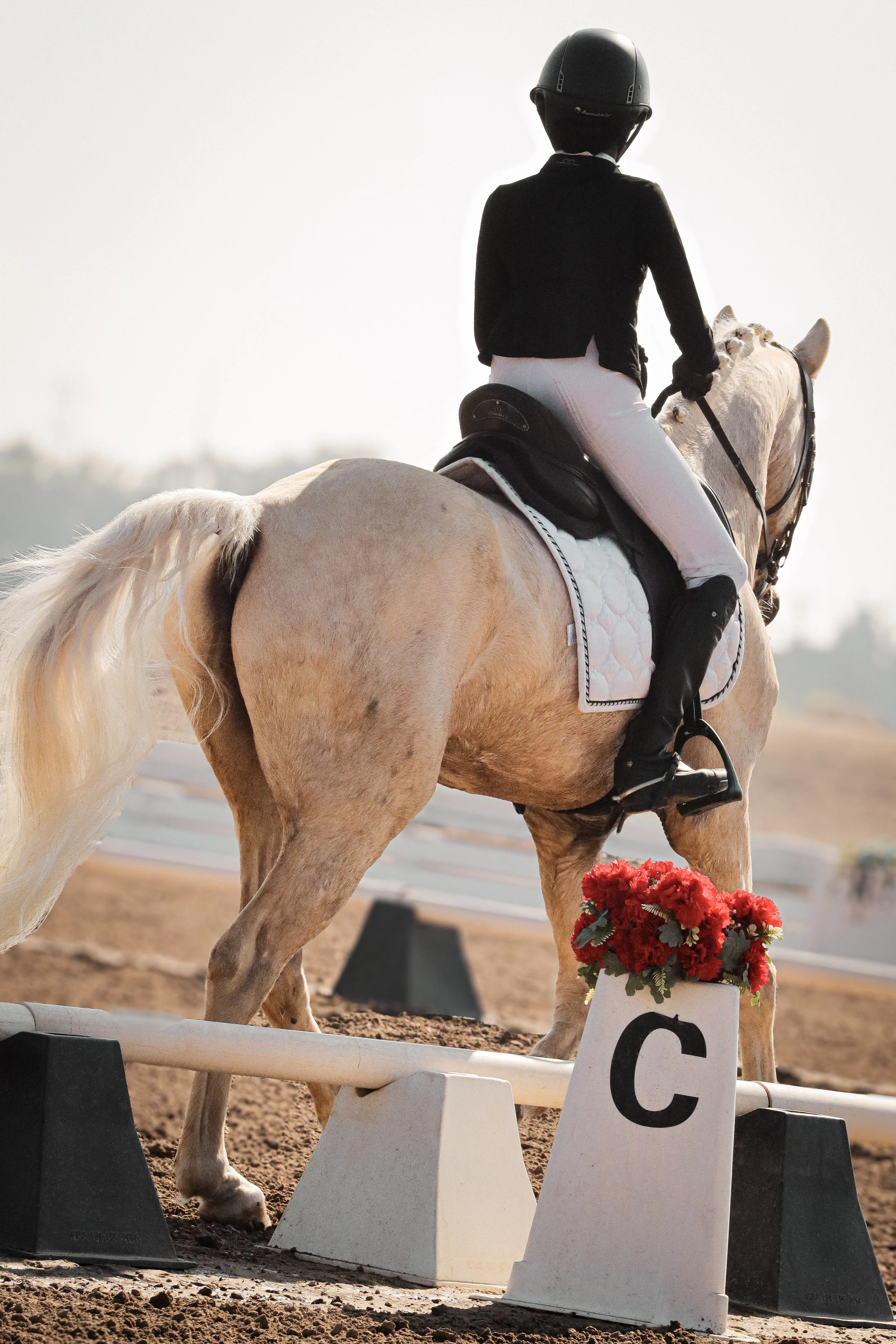 A rider dressed in formal equestrian attire, wearing a black riding helmet, black blazer, white breeches, and riding boots, sits atop a cream-colored horse during an equestrian event. The horse is equipped with a saddle and a pink quilted saddle pad.