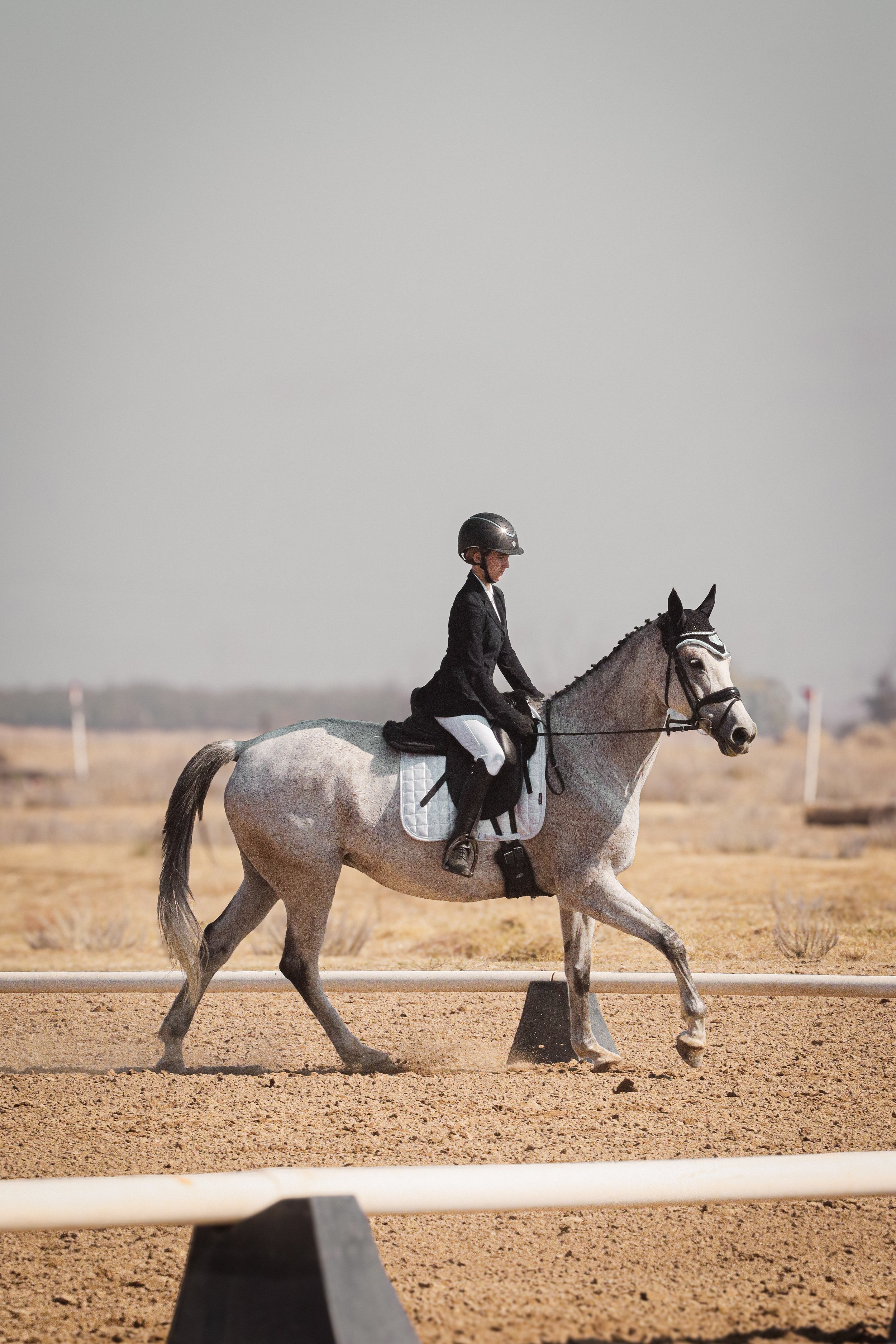 A person in equestrian attire riding a gray horse during a competition or practice session outdoors on a sandy arena.