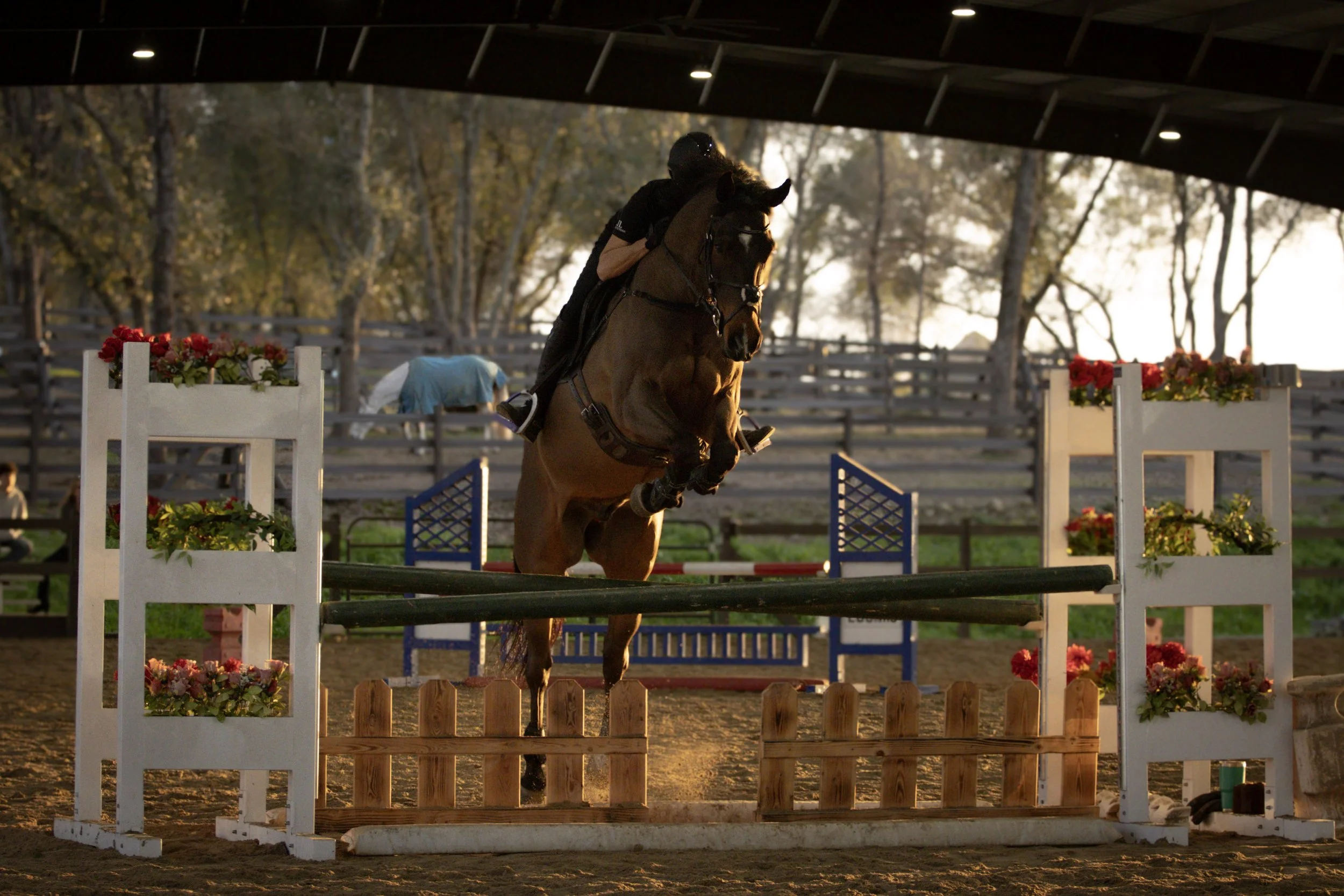 A horse and rider jumping over an obstacle at an equestrian event during sunset. The obstacle is decorated with flowers, and the background shows a fenced outdoor arena with trees.