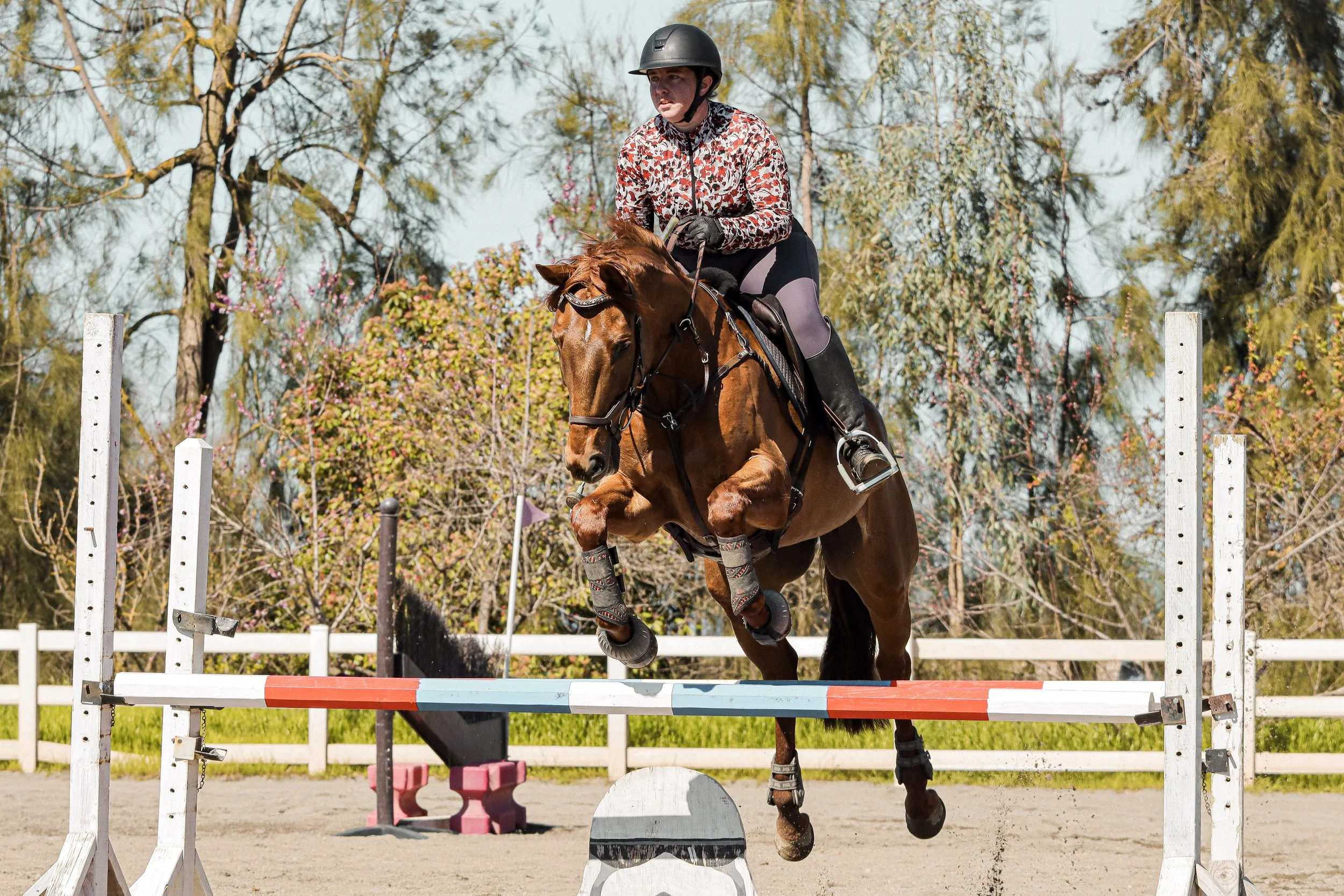 A person riding a horse jumps over an obstacle during an equestrian event outdoors, surrounded by trees and a white fence.