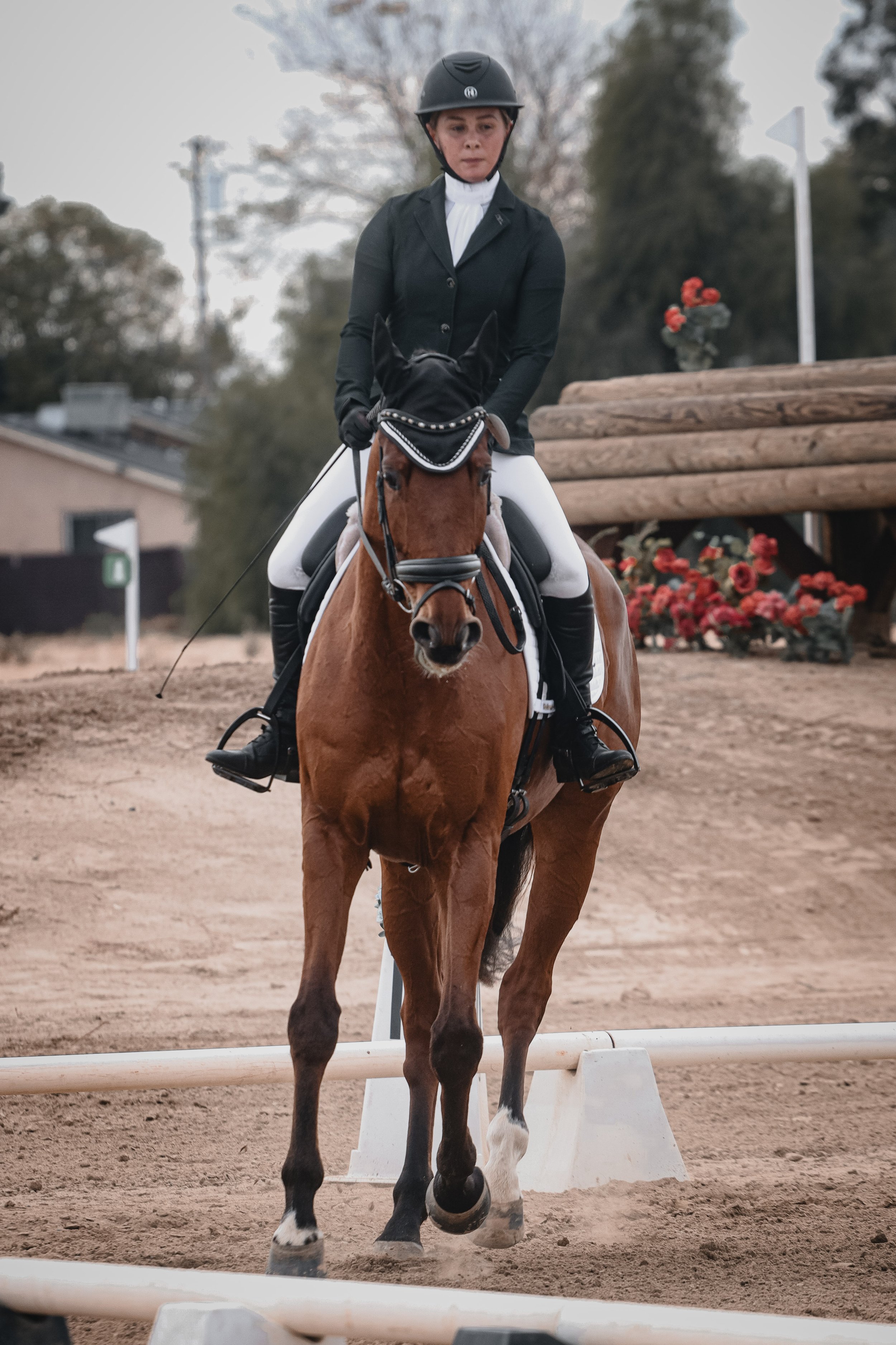 (1 of 2) Maddie Jackson & Power Play DF @ November Ram Tap Horse Trials 2024