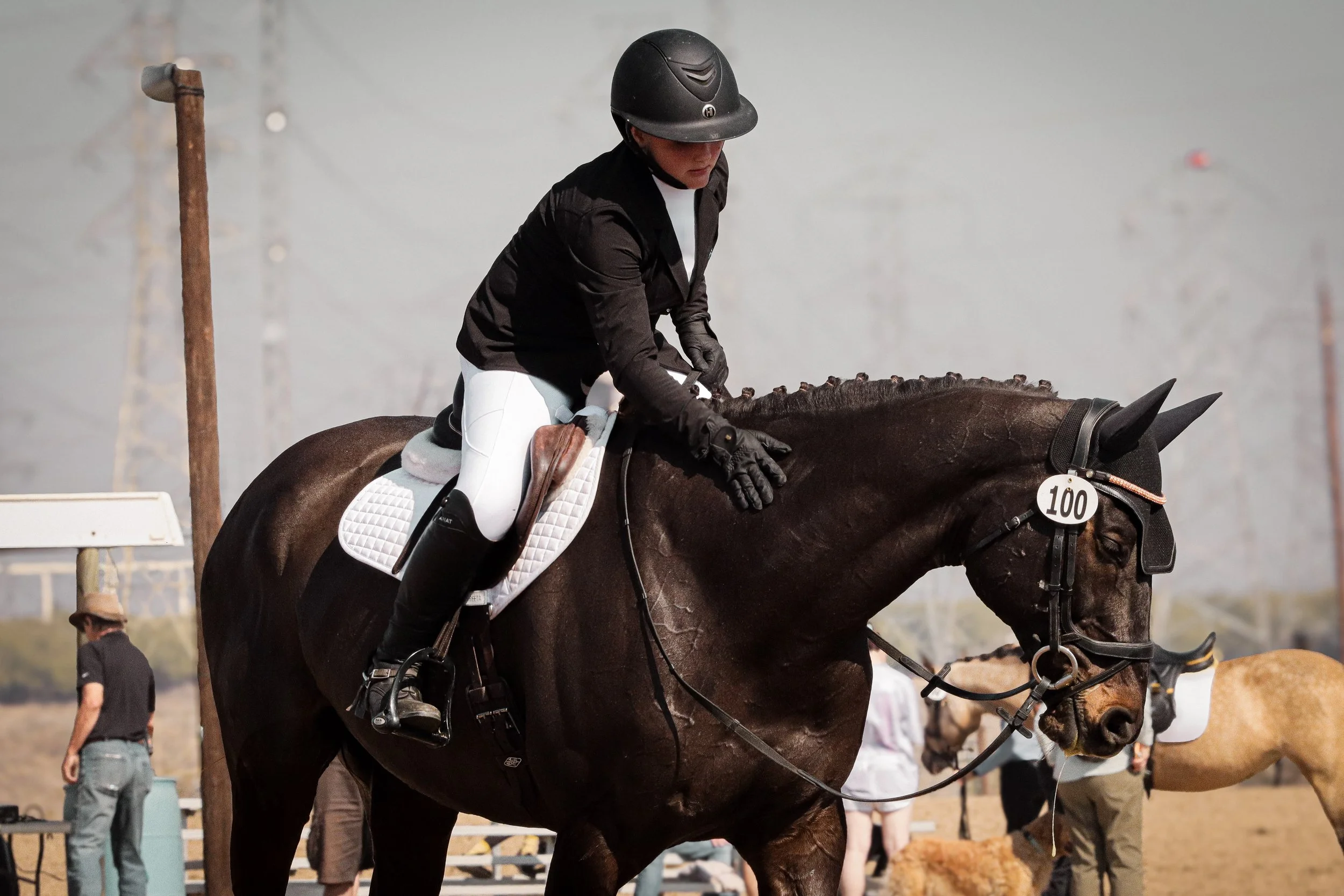 A person wearing a black riding helmet and black jacket riding a dark brown horse during an equestrian event with numbered bridle marking 100.