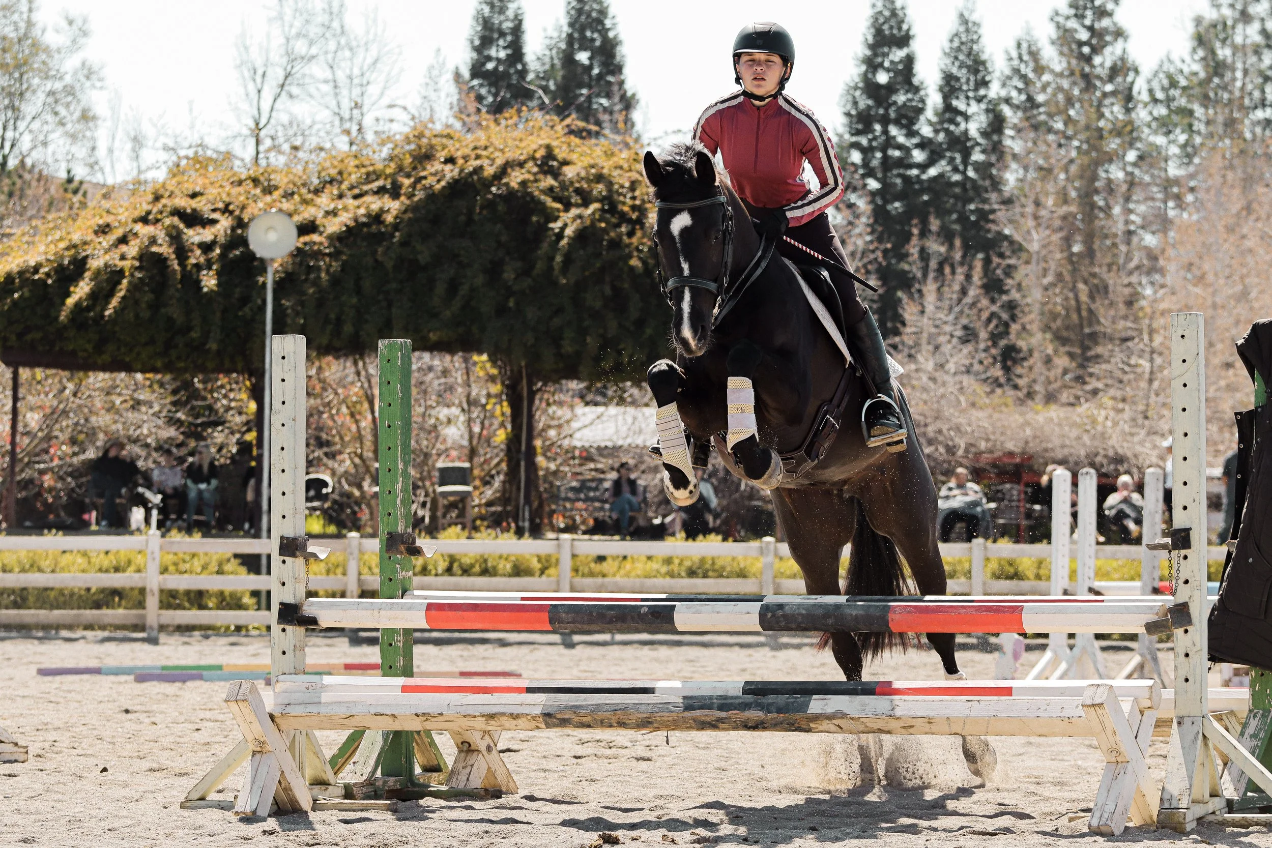 A person riding a black horse and jumping over a hurdle in an outdoor equestrian arena during daylight, with trees and spectators in the background.