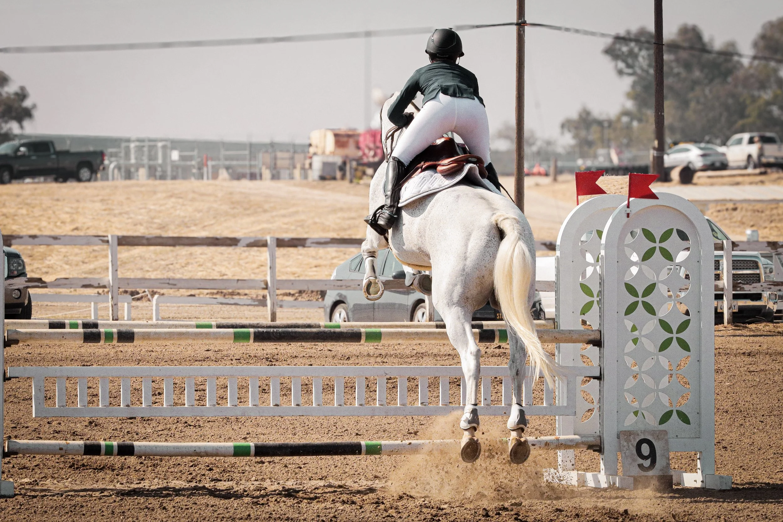 A person riding a white horse and jumping over a hurdle in an equestrian event, with an equestrian helmet and riding attire, outdoors on a dirt arena with parked cars and trees in the background.