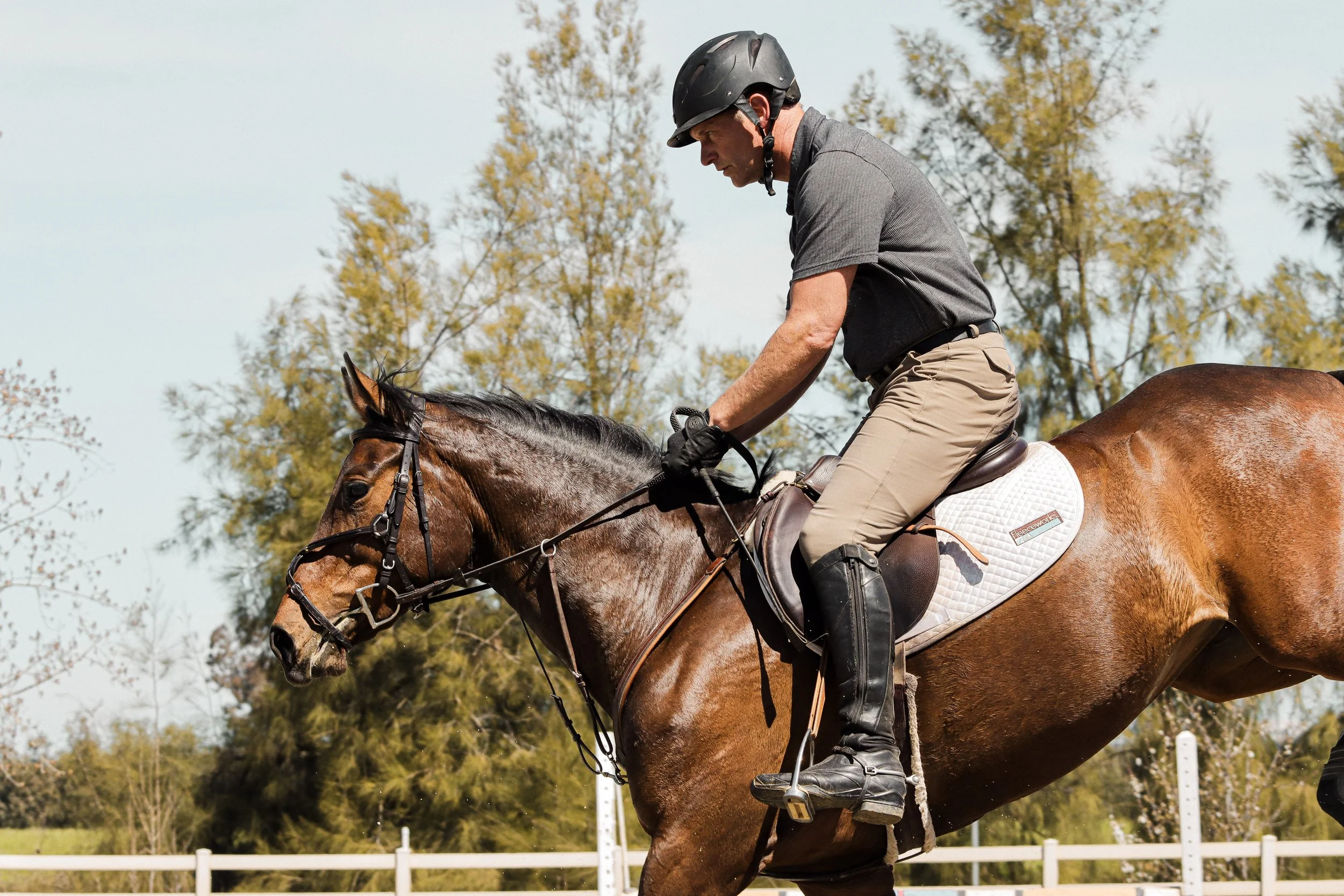A man wearing a black riding helmet, gray polo shirt, and tan riding pants, is riding a brown horse with a white saddle pad in an outdoor arena surrounded by trees with autumn foliage.