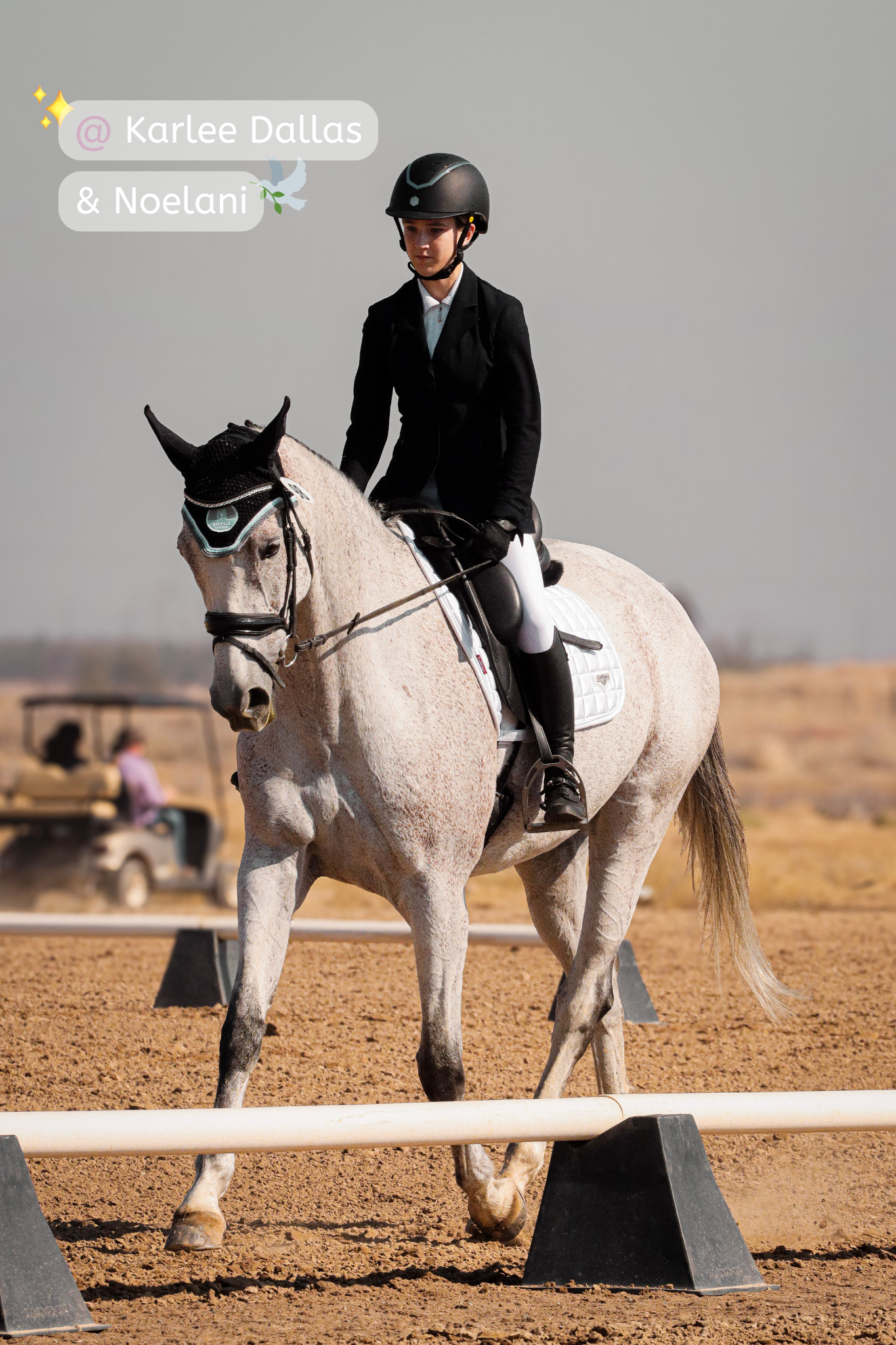 A female equestrian wearing a black helmet, black jacket, white shirt, gloves, and white riding pants sits on a gray horse with a black bridle and a white saddle pad. The horse is walking on an outdoor riding arena with a sandy surface. In the backgr