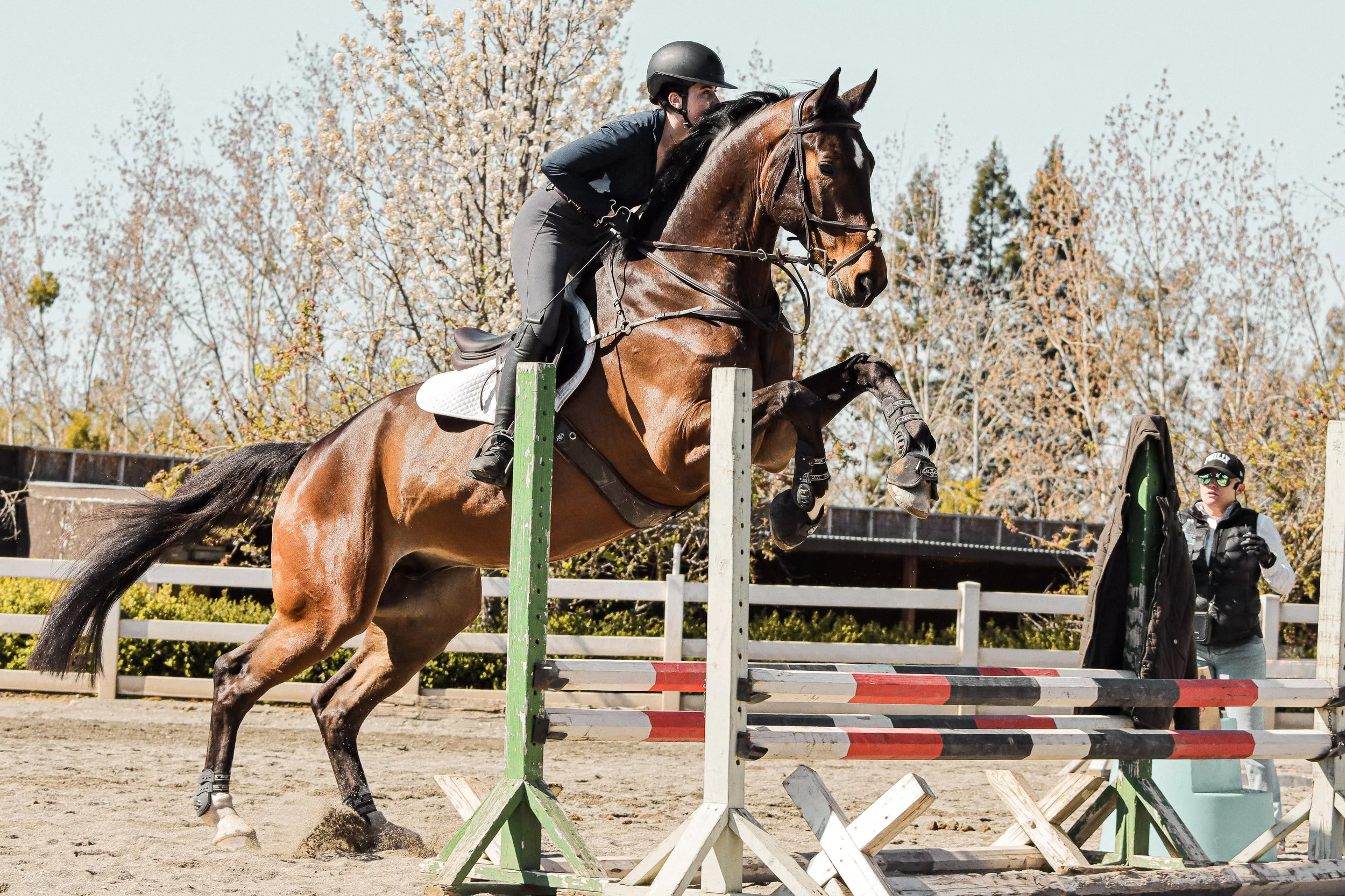 A rider and a horse participating in an equestrian jumping competition outdoors, with autumn trees in the background.