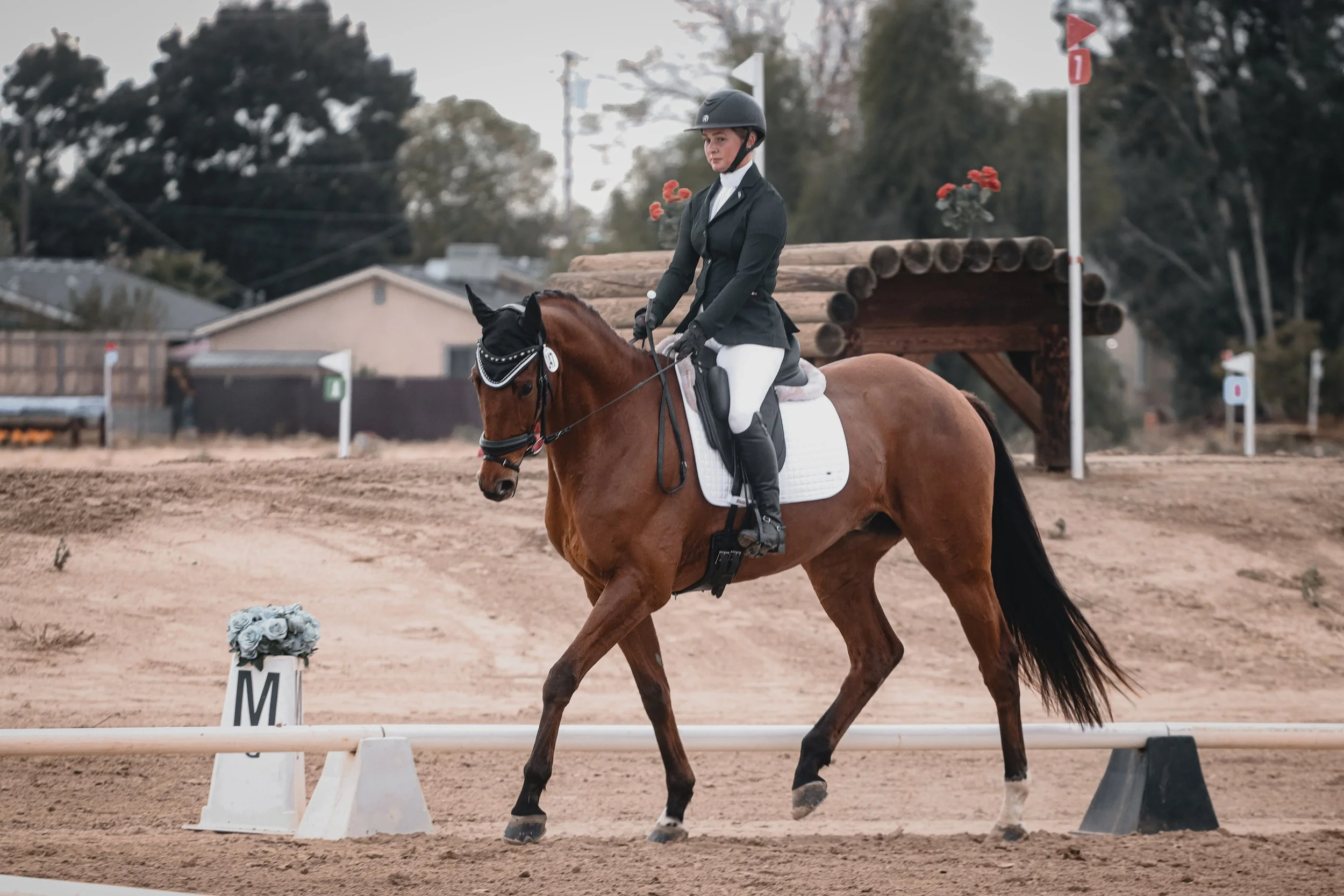 A young woman dressed in a riding jacket and white riding pants, wearing a helmet, riding a brown horse during a dressage competition. The horse is equipped with a black bridle and a white saddle pad. There are numbered markers and flags on poles in 