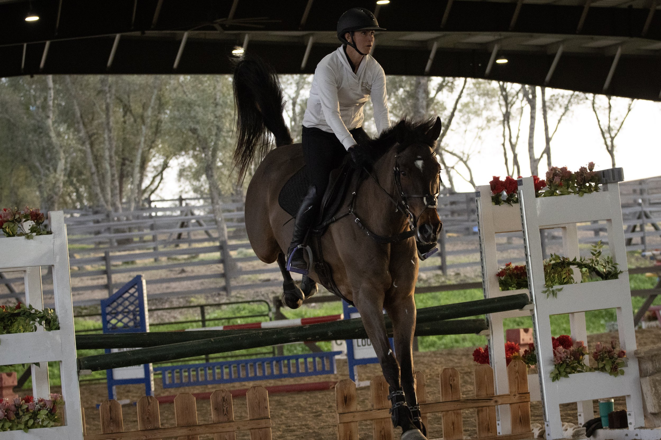 A person riding a horse during an equestrian jumping event, wearing a helmet and white shirt, in an outdoor arena with show jumps and a background of trees and fencing.