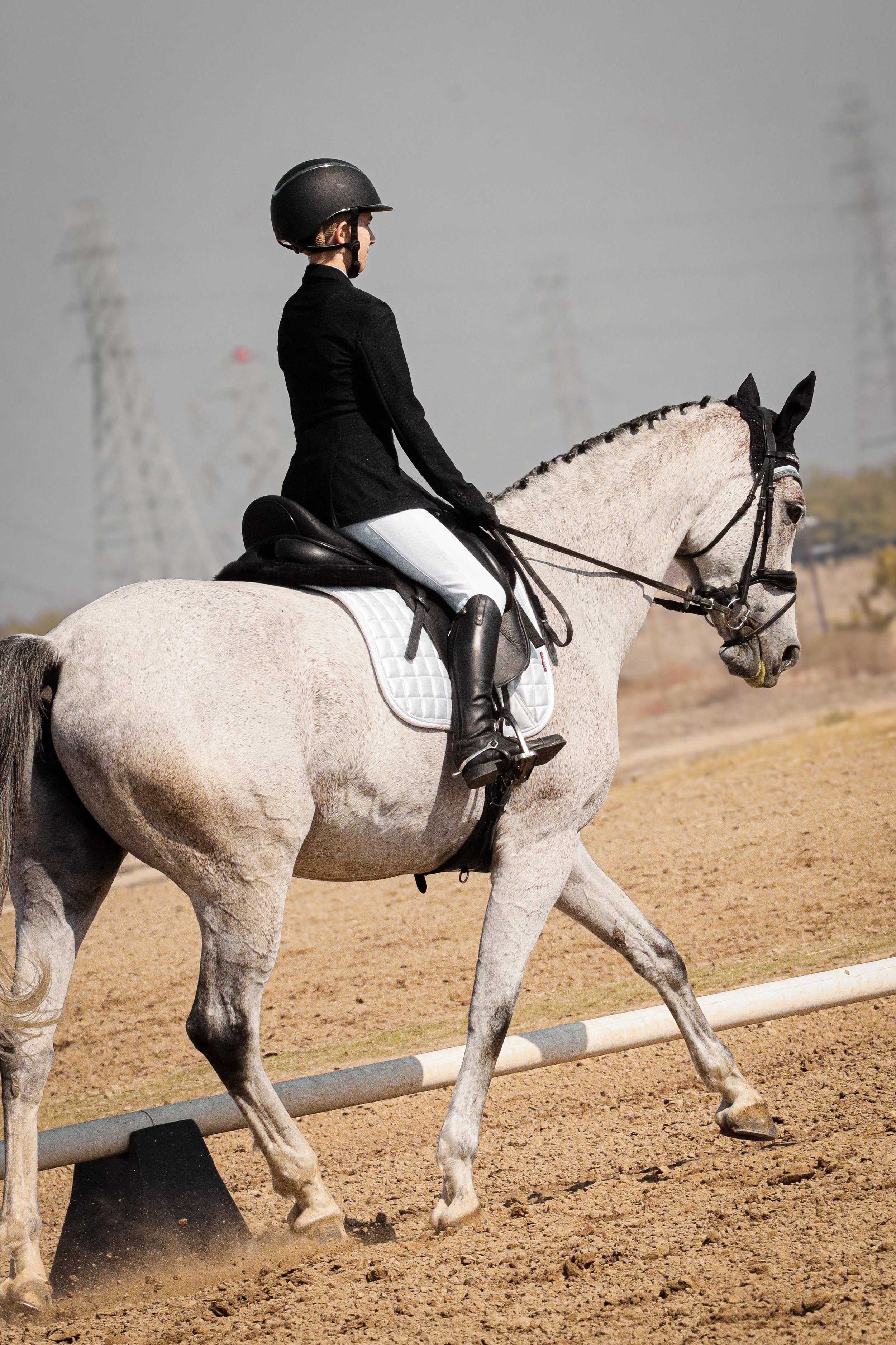 A rider dressed in formal riding attire, including a black jacket and helmet, riding a white horse on a dirt riding arena.