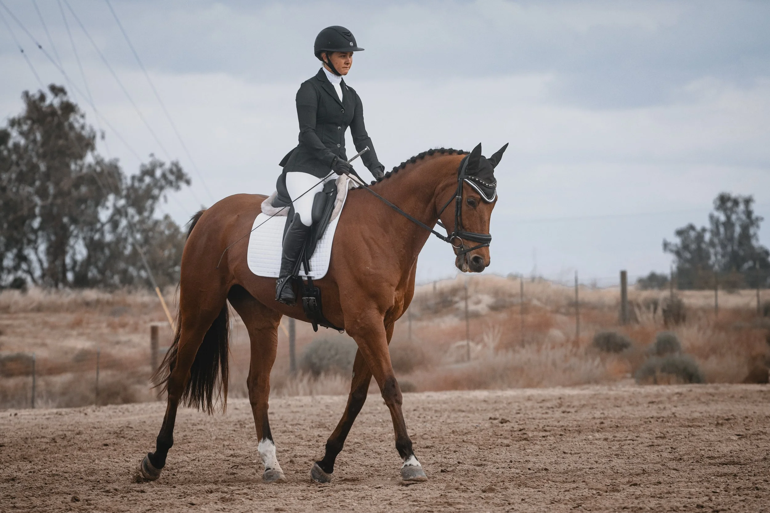 A woman dressed in traditional equestrian attire riding a chestnut horse on an outdoor dirt riding arena. She is wearing a black riding helmet, black riding jacket, white breeches, and black riding boots. The background features trees and a cloudy sk