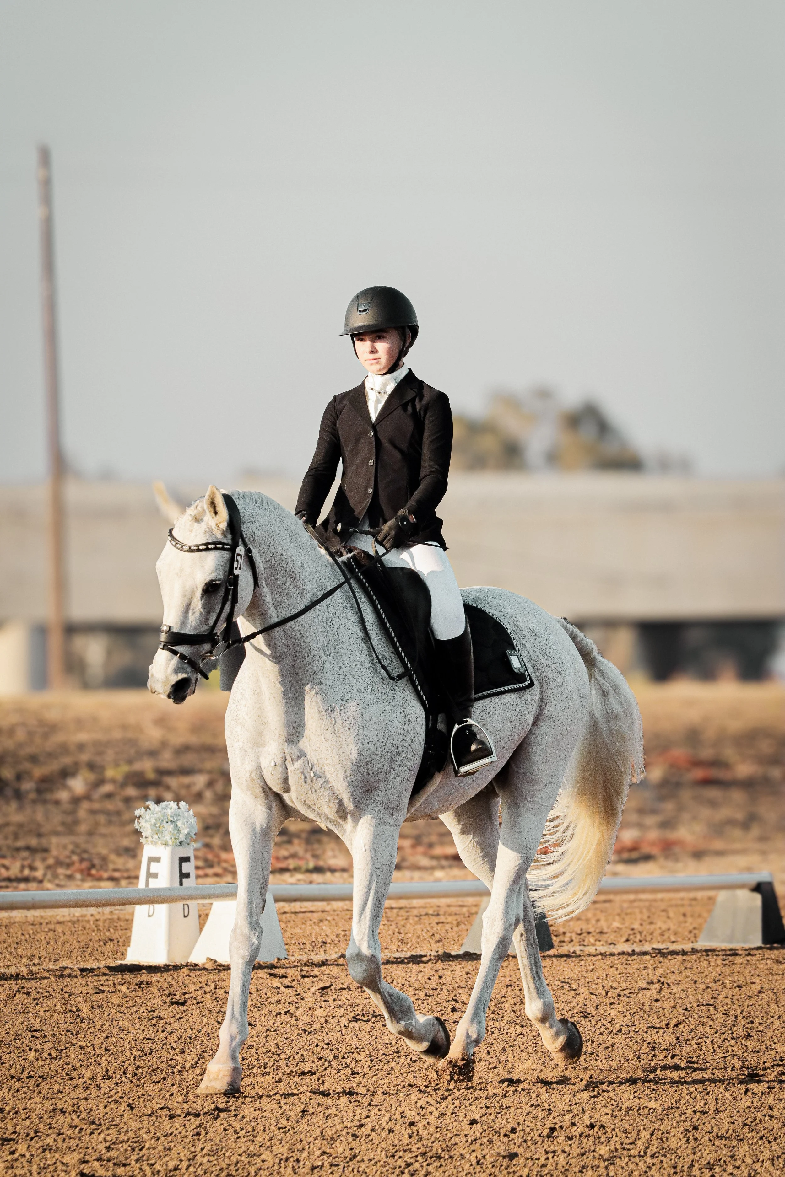 A young woman dressed in equestrian riding attire, including a black helmet, riding a white horse in an outdoor riding arena during daytime.