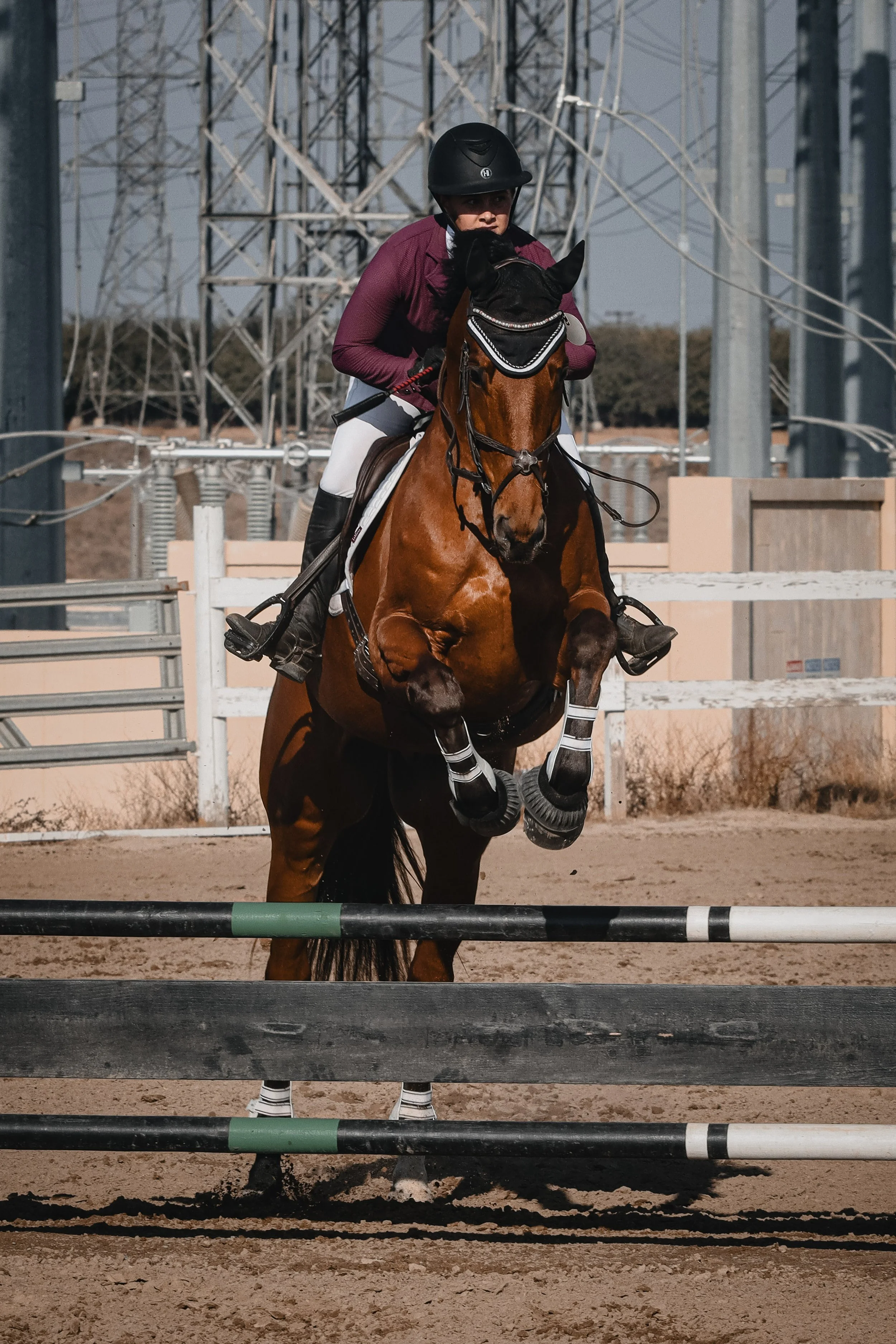 A woman riding a horse over a show jumping obstacle in an outdoor arena. The woman is wearing a black helmet, a maroon jacket, and white riding pants. The arena has a background of electrical towers and wires.