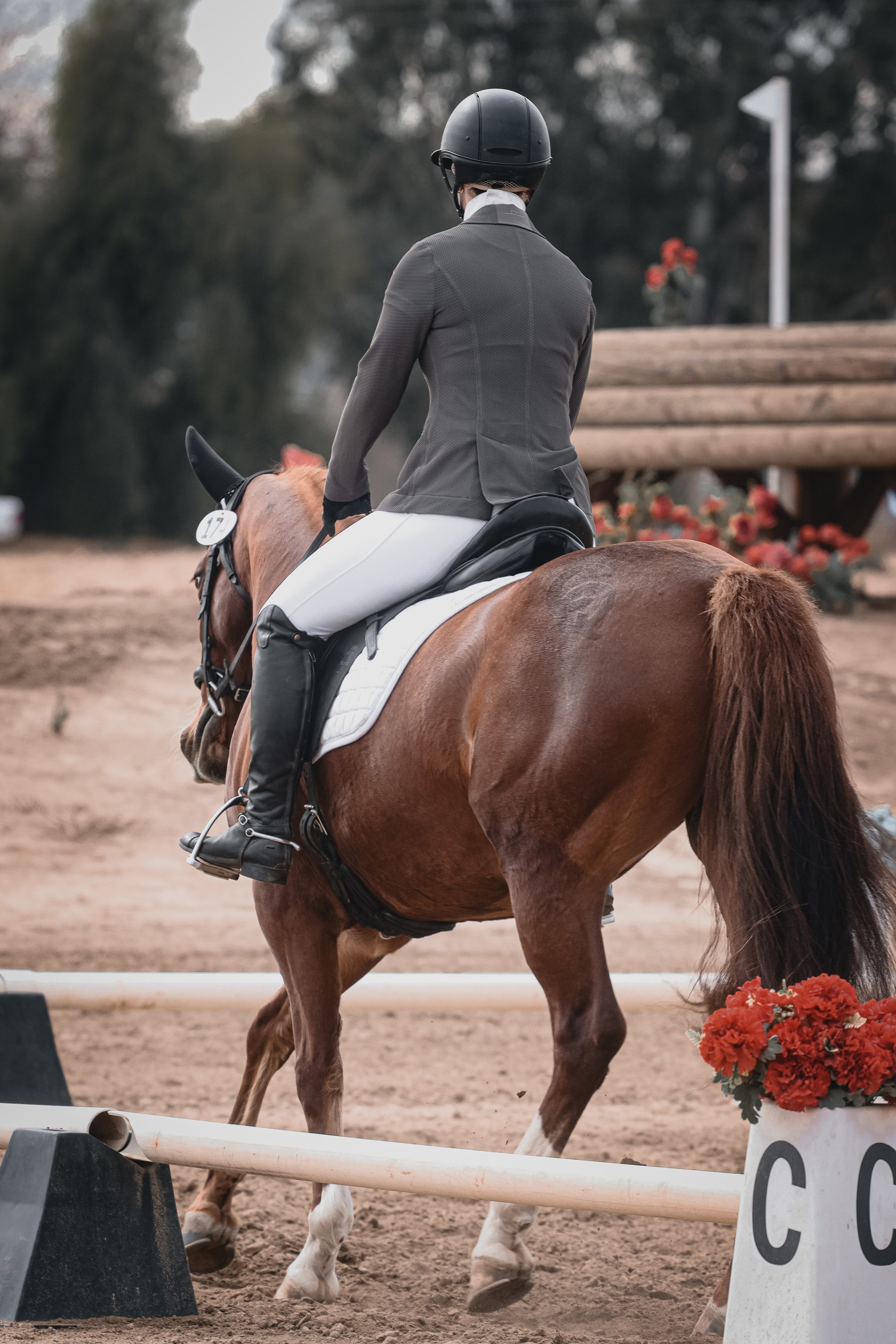 Equestrian rider in formal riding attire and helmet riding a brown horse with a white saddle pad on an outdoor riding arena.