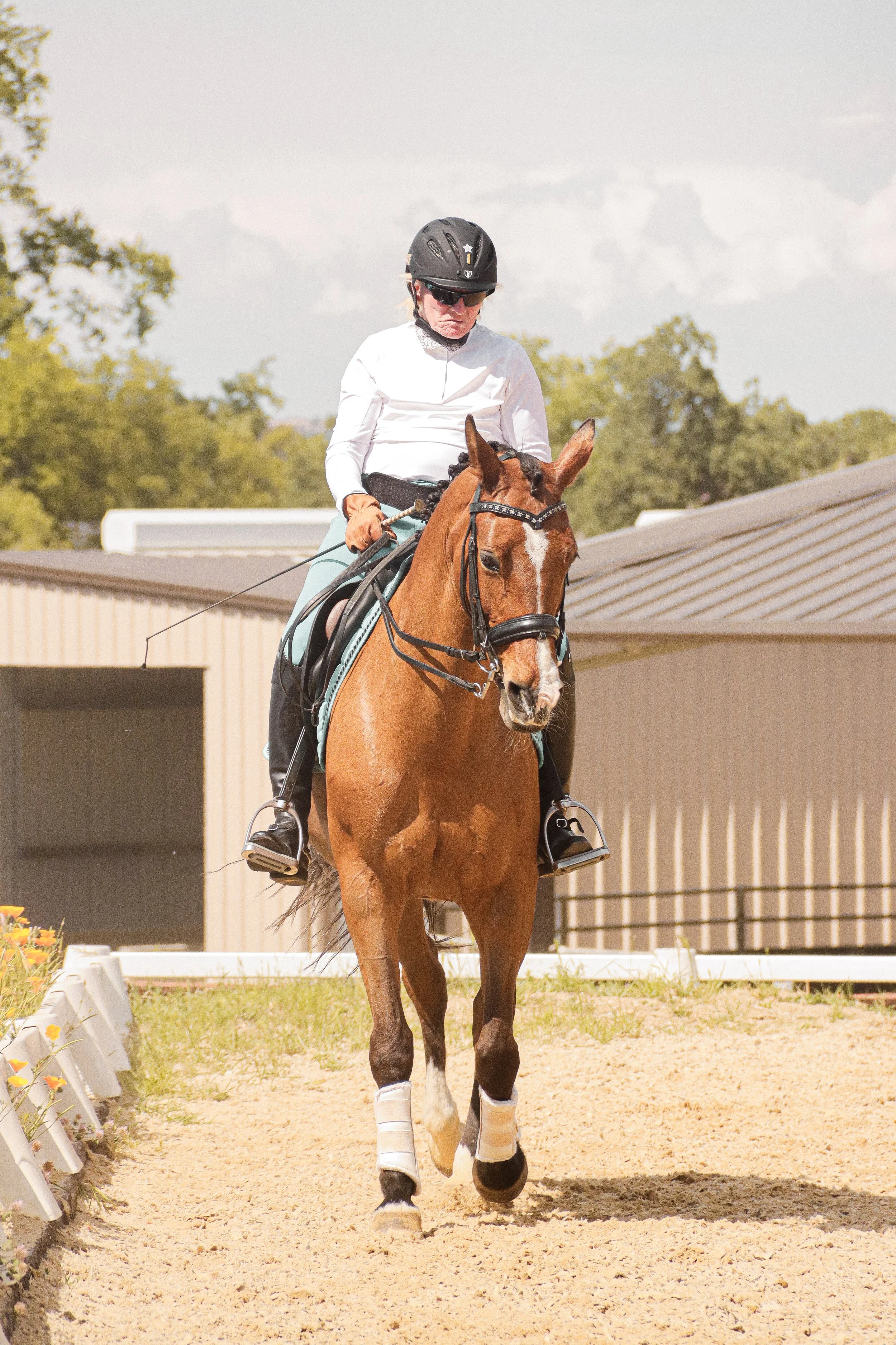 A person wearing a white shirt, black helmet, sunglasses, and riding breeches is riding a brown horse with a white stripe on its face in an outdoor riding arena with a sandy ground, green trees in the background, and a beige building with a grey roof