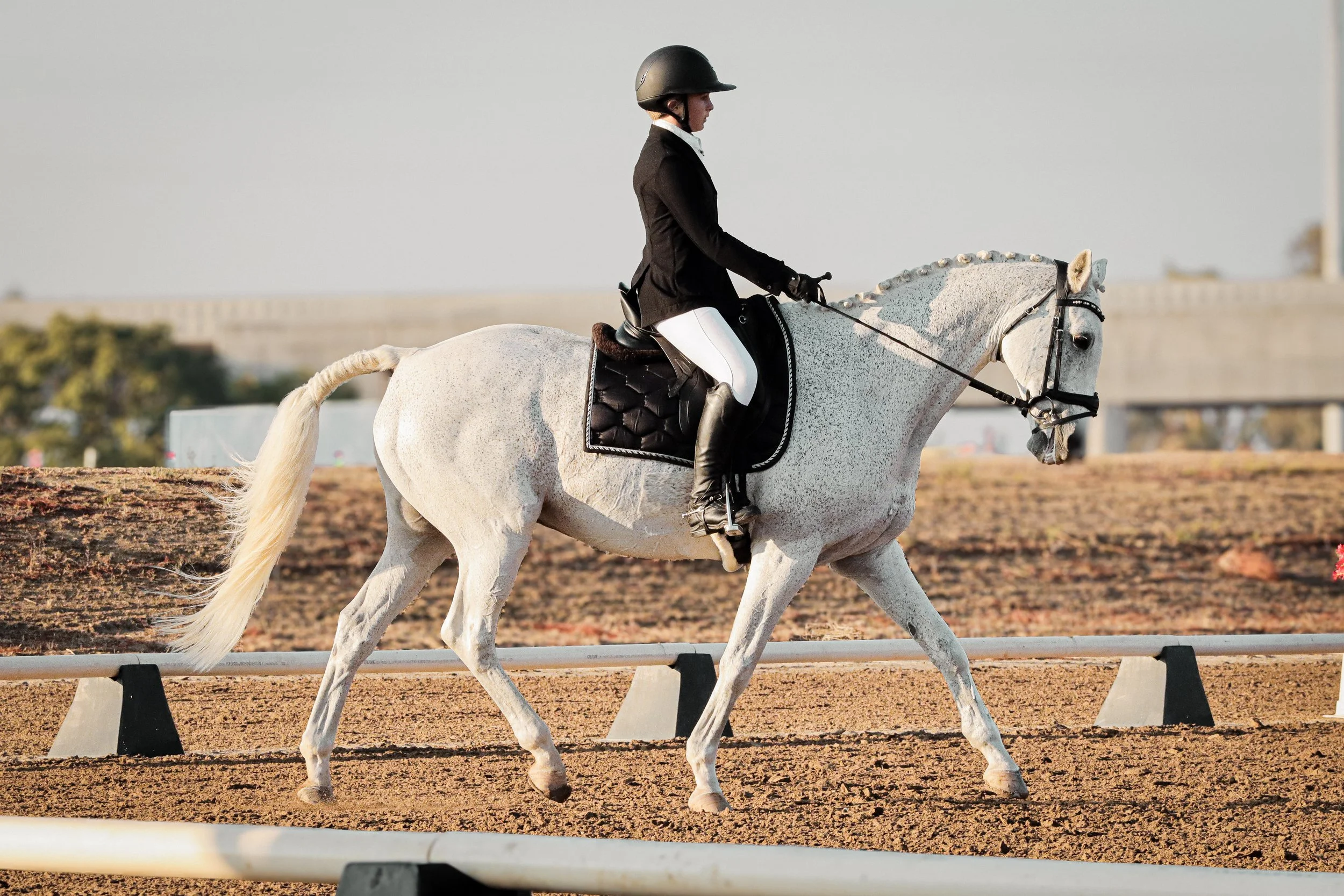 A female equestrian riding a white horse during a dressage competition on an outdoor arena.