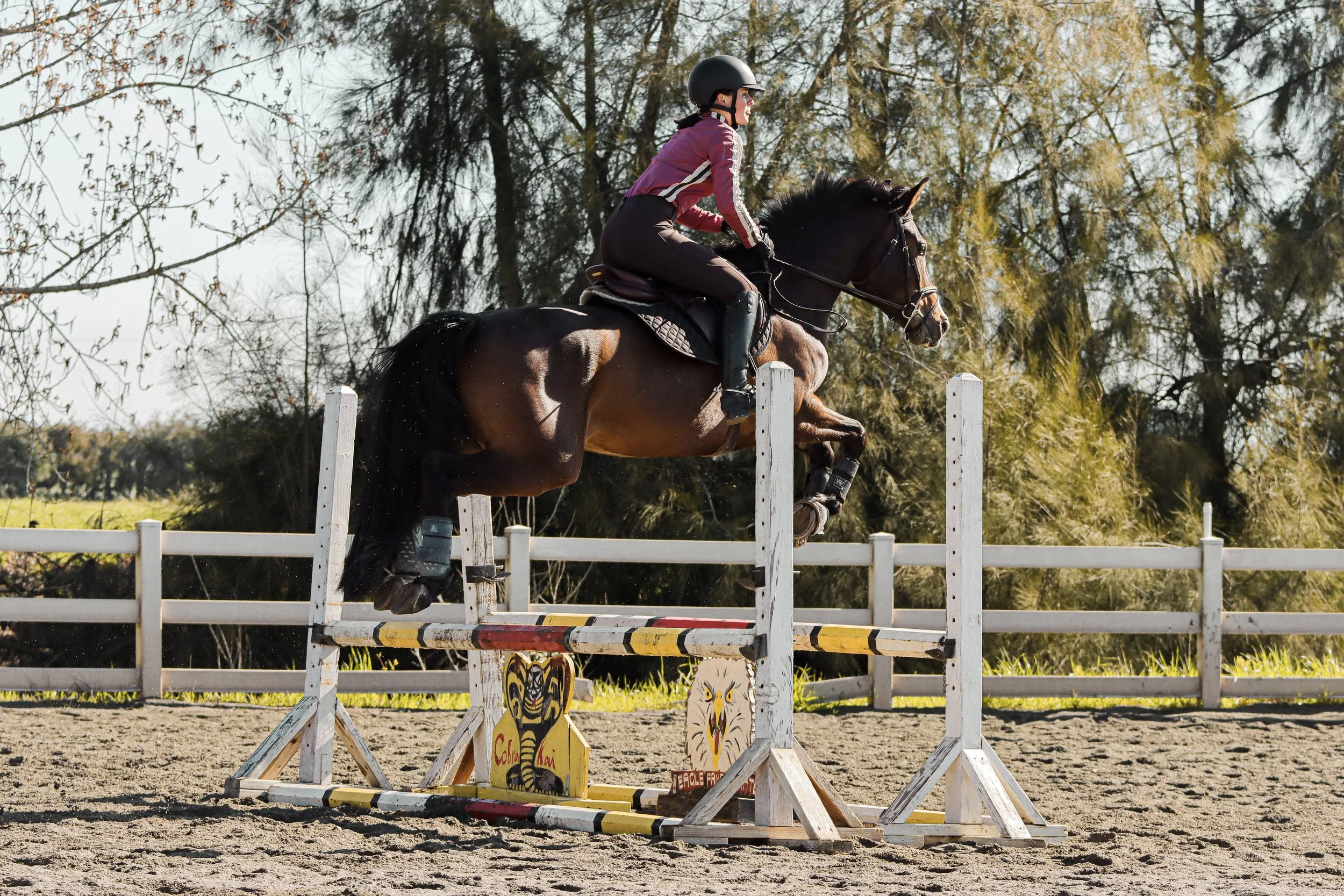 A woman riding a horse while jumping over an obstacle during a horse jumping event outdoors, with trees in the background.