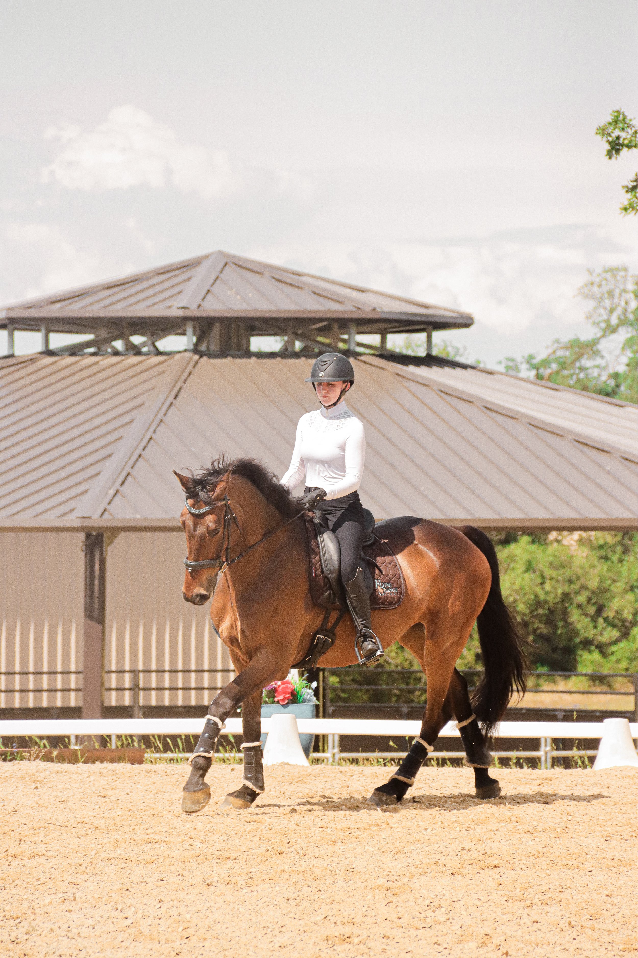 Equestrian rider in white top and black riding pants on a brown horse with black mane and tail in an outdoor riding arena, with a metal-roofed pavilion and trees in the background.