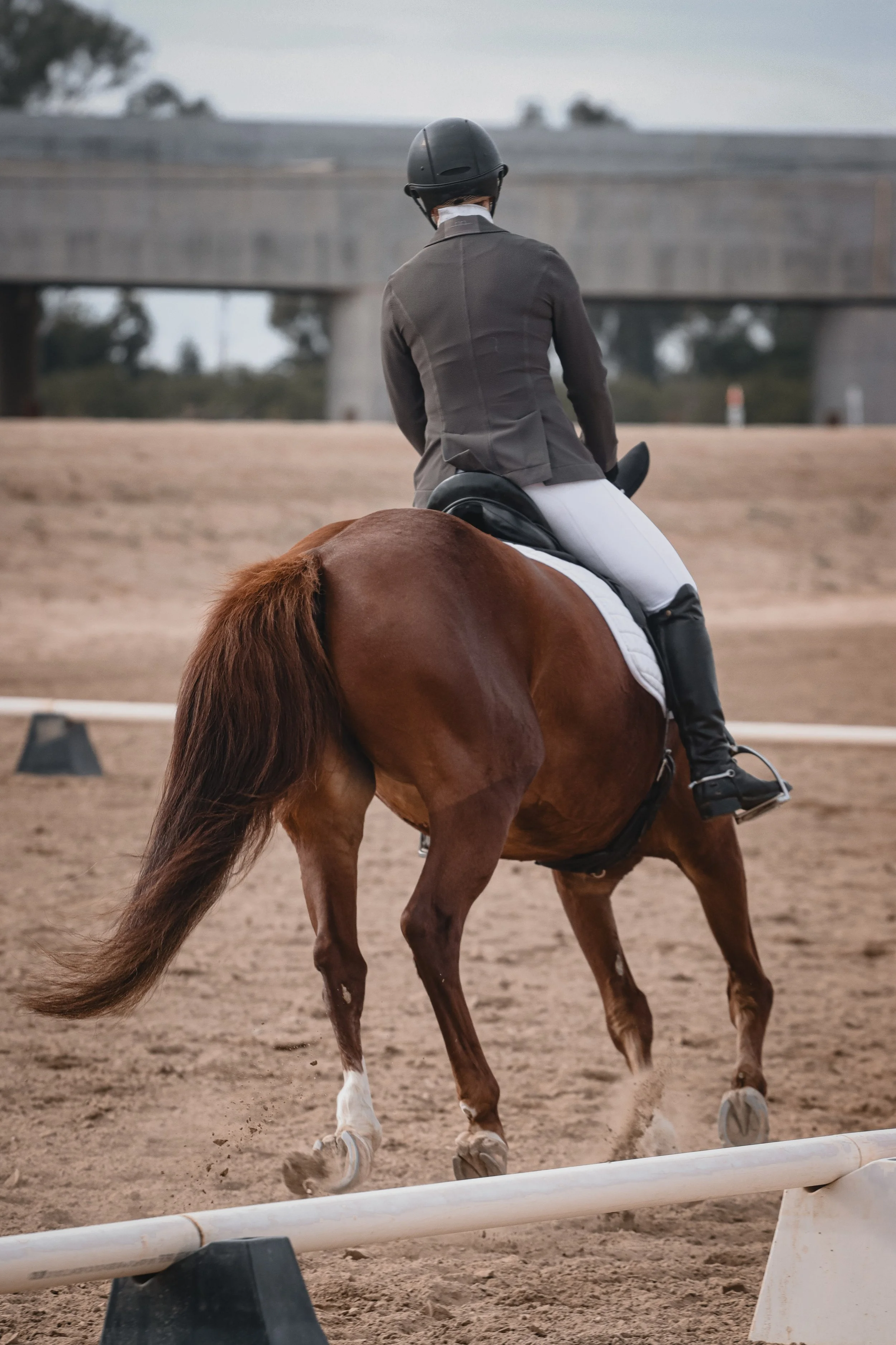 A person riding a brown horse wearing a dark riding jacket, white riding pants, and a black helmet, on an outdoor riding arena with sand ground and a low white fence.