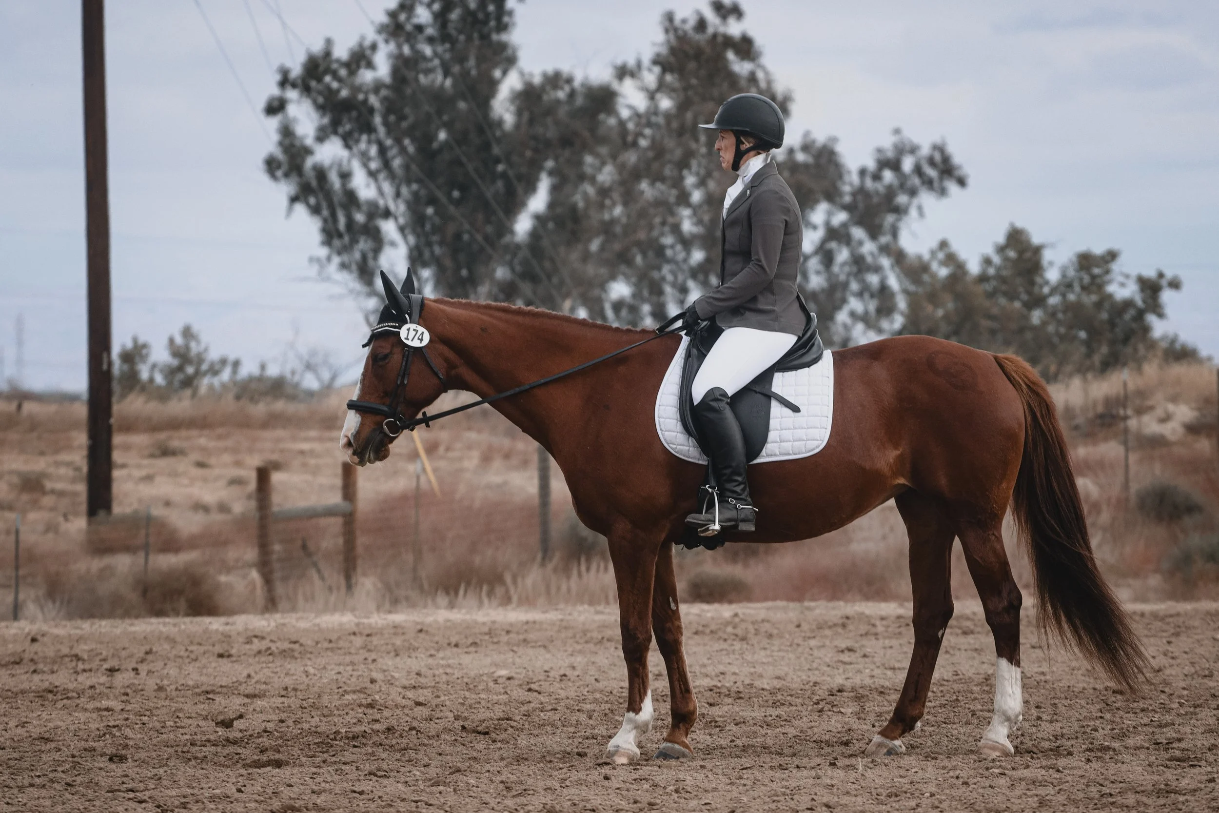 A person in riding attire, wearing a helmet, riding a brown horse with white markings on its face and legs, on a dirt field with trees in the background.