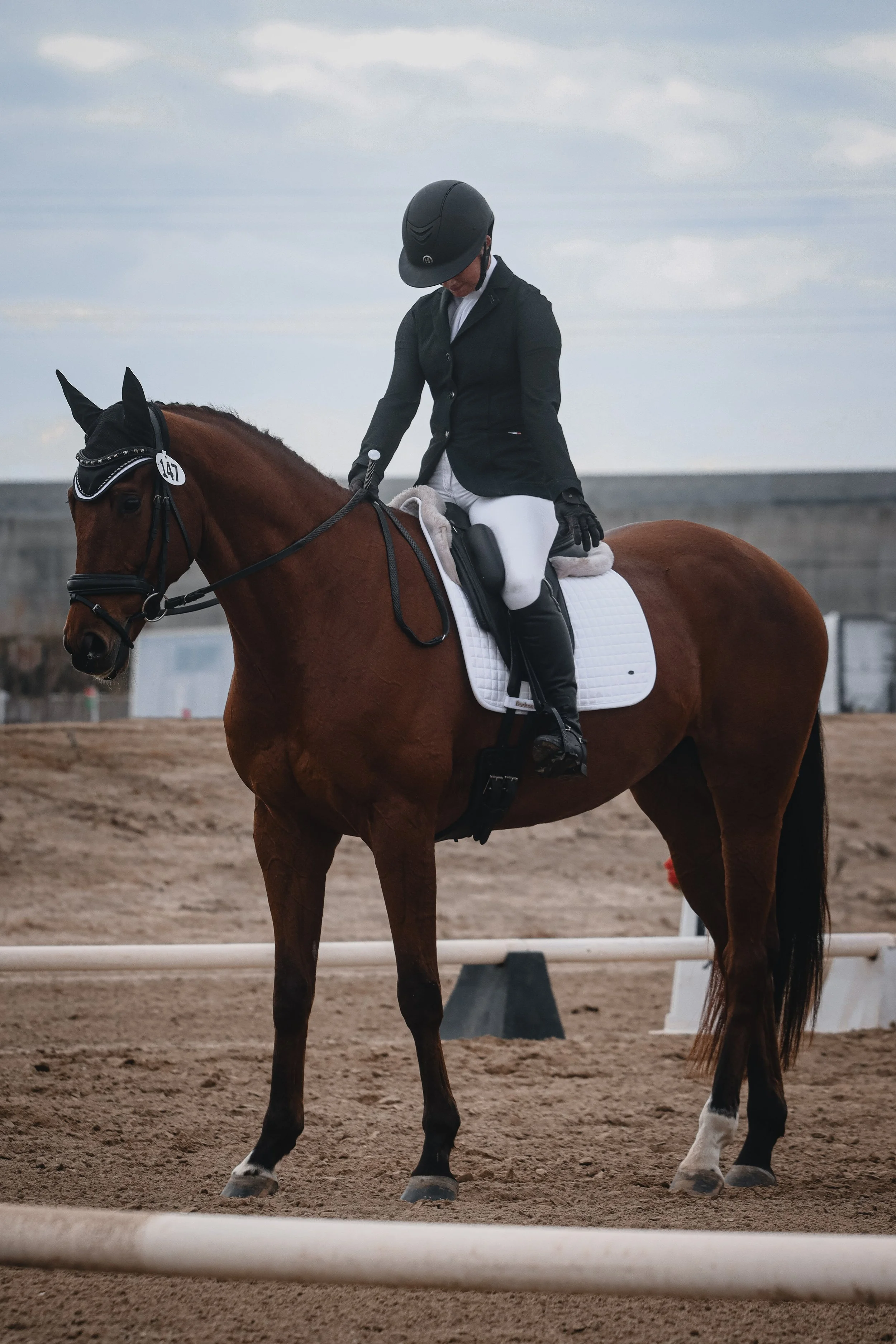 A person wearing a riding helmet, black jacket, and white riding pants sitting on a brown horse with white markings on its legs and face, on a dirt riding arena.