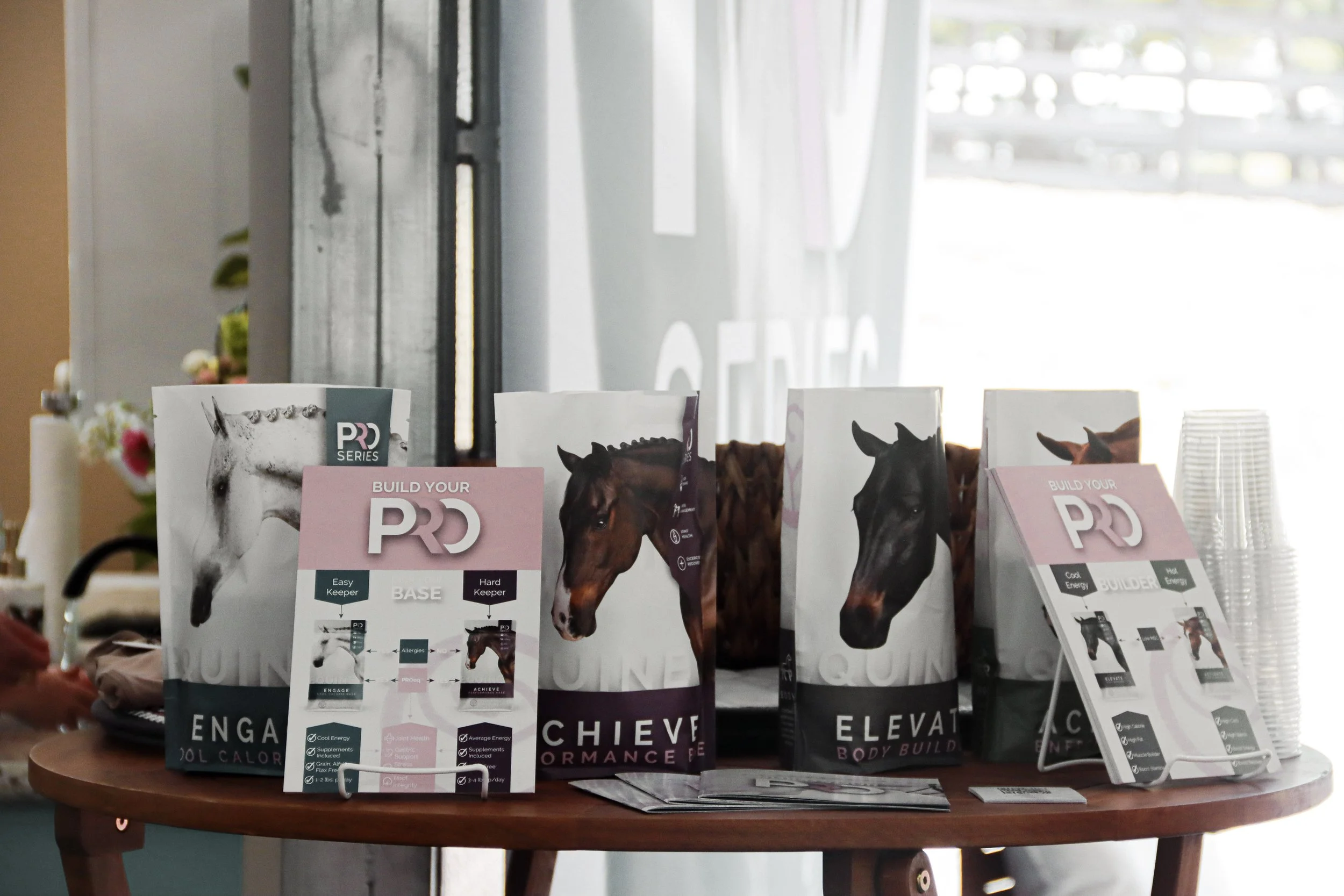 Brochures with horse images and promotional messages about building confidence, energy, and achievement, displayed on a round wooden table in a store or office setting.