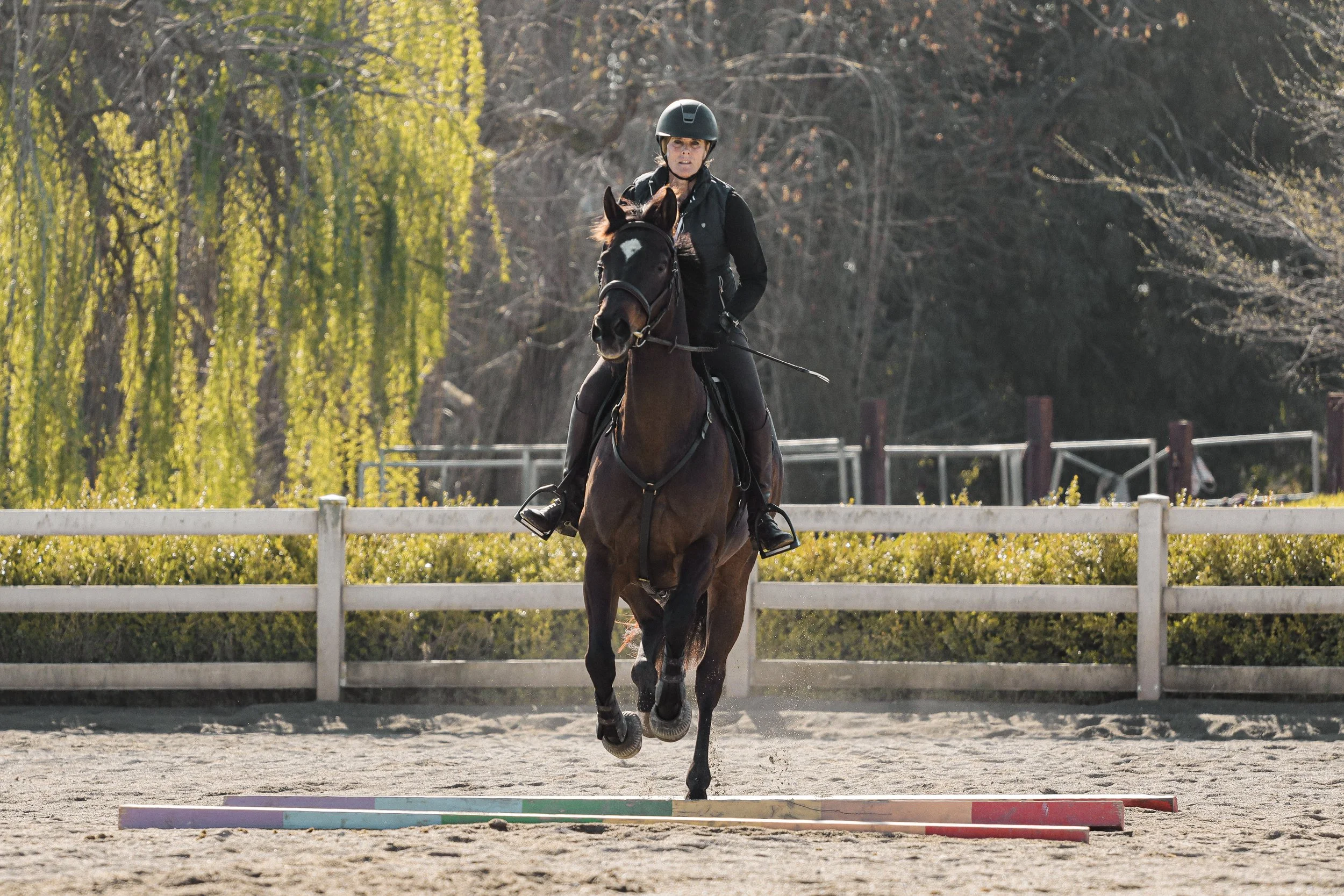 A woman riding a horse while jumping over a colorful obstacle in an outdoor riding arena, with trees and a fence in the background.