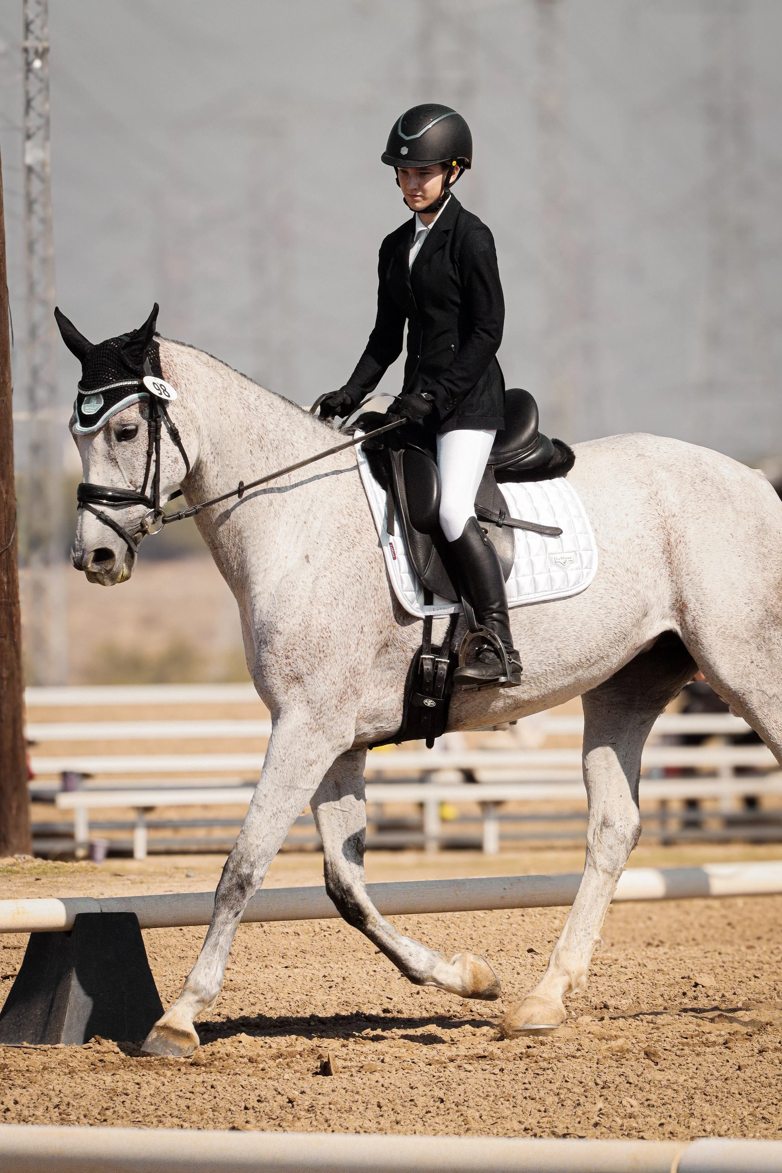 A person riding a white horse in an equestrian arena, wearing a black helmet, black riding jacket, white riding pants, and black riding boots.